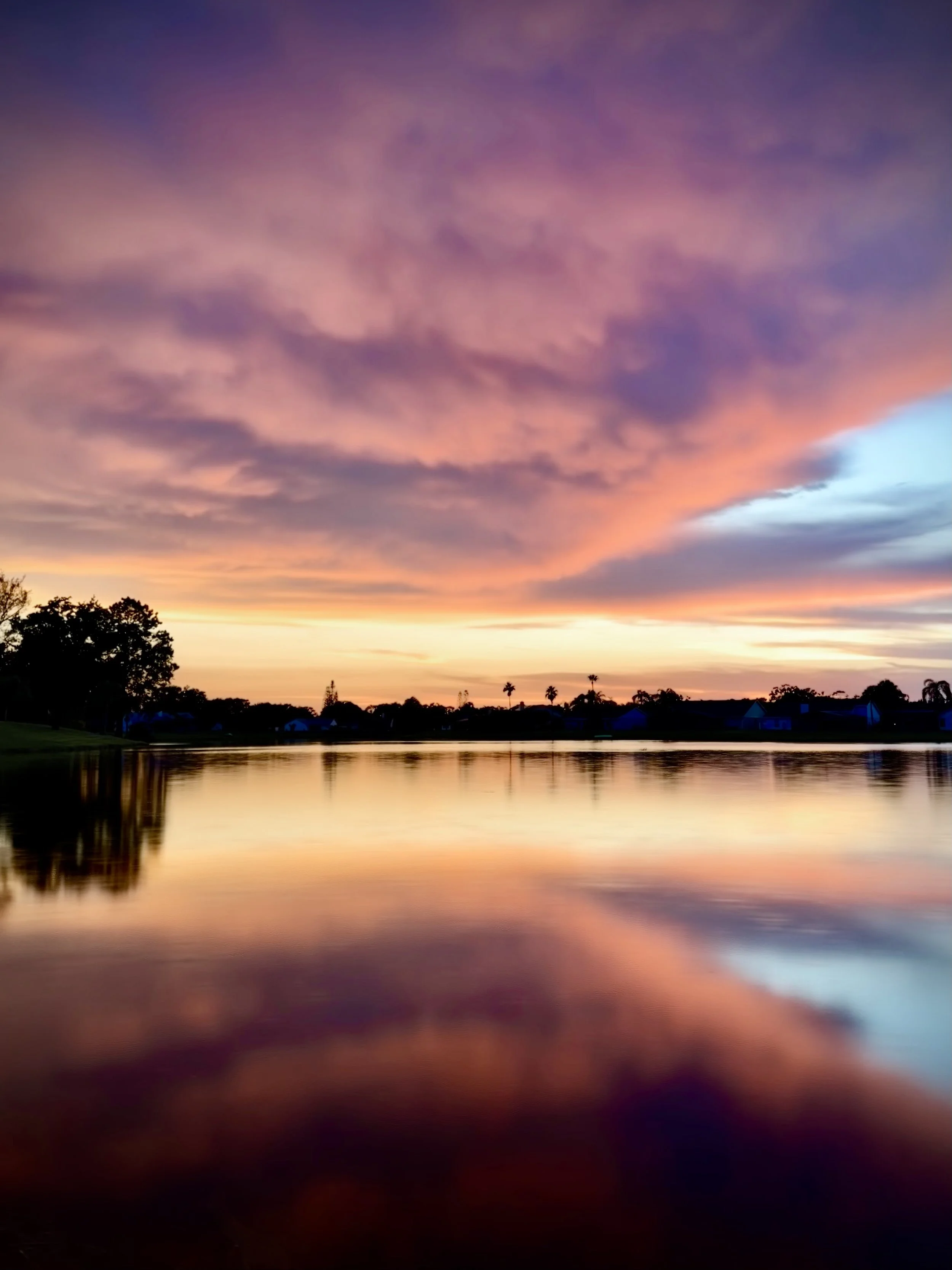 Backyard sunset afterglow
