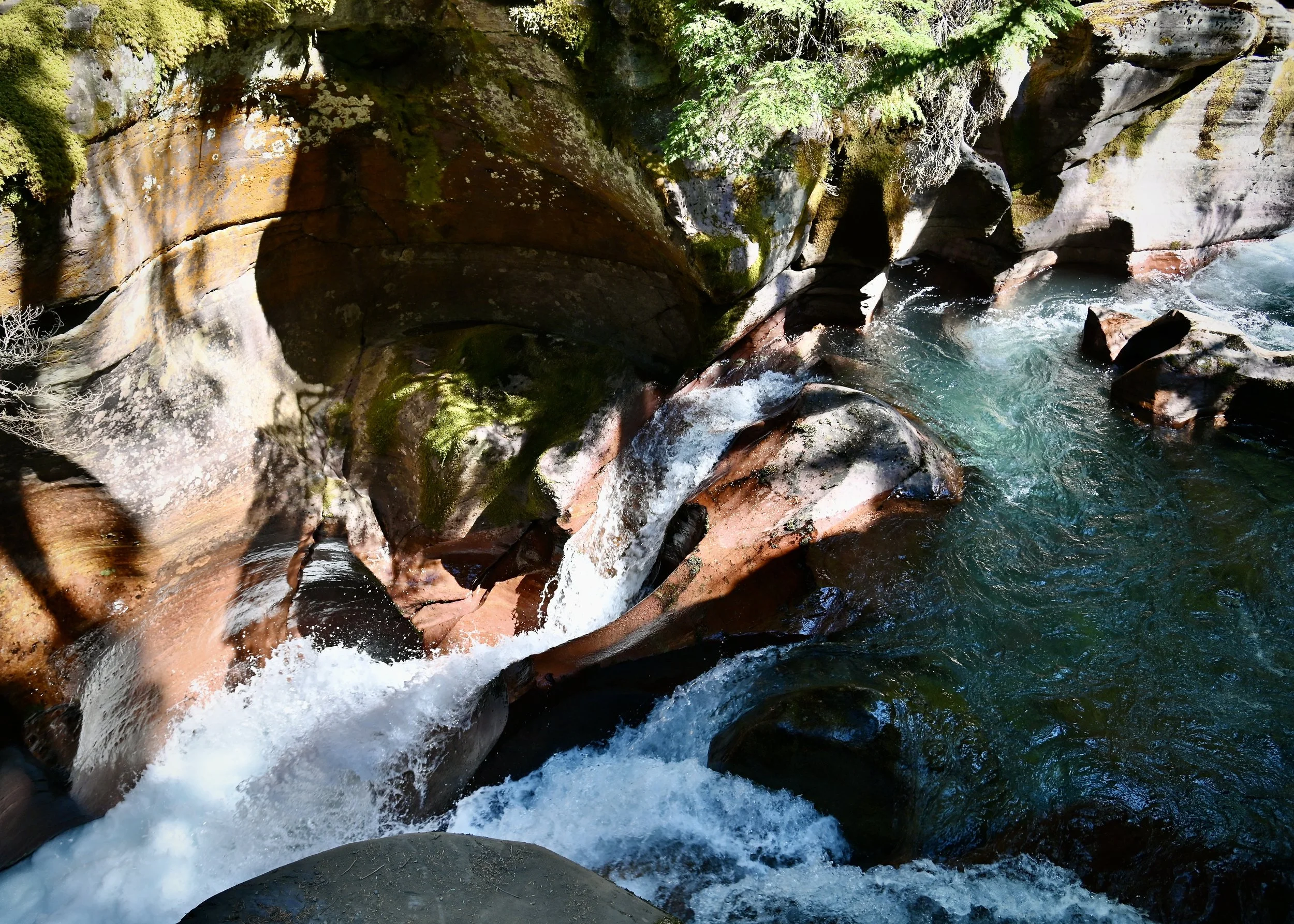 Avalanche Creek, Glacier National Park