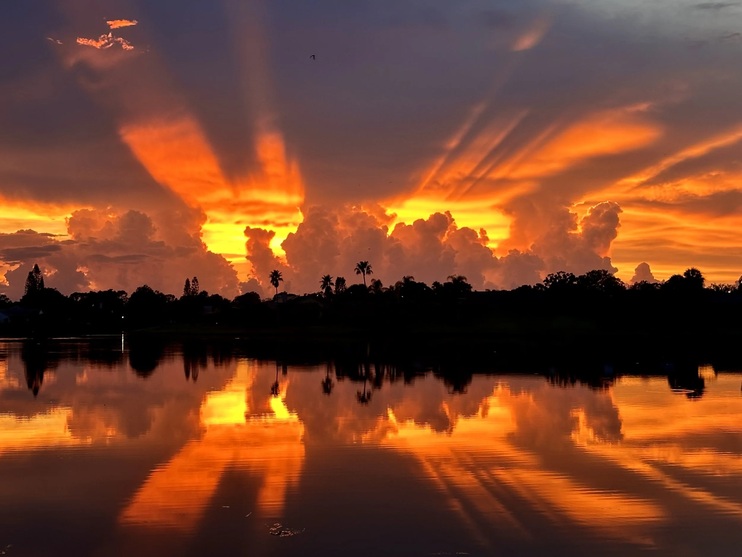 Backyard sunset