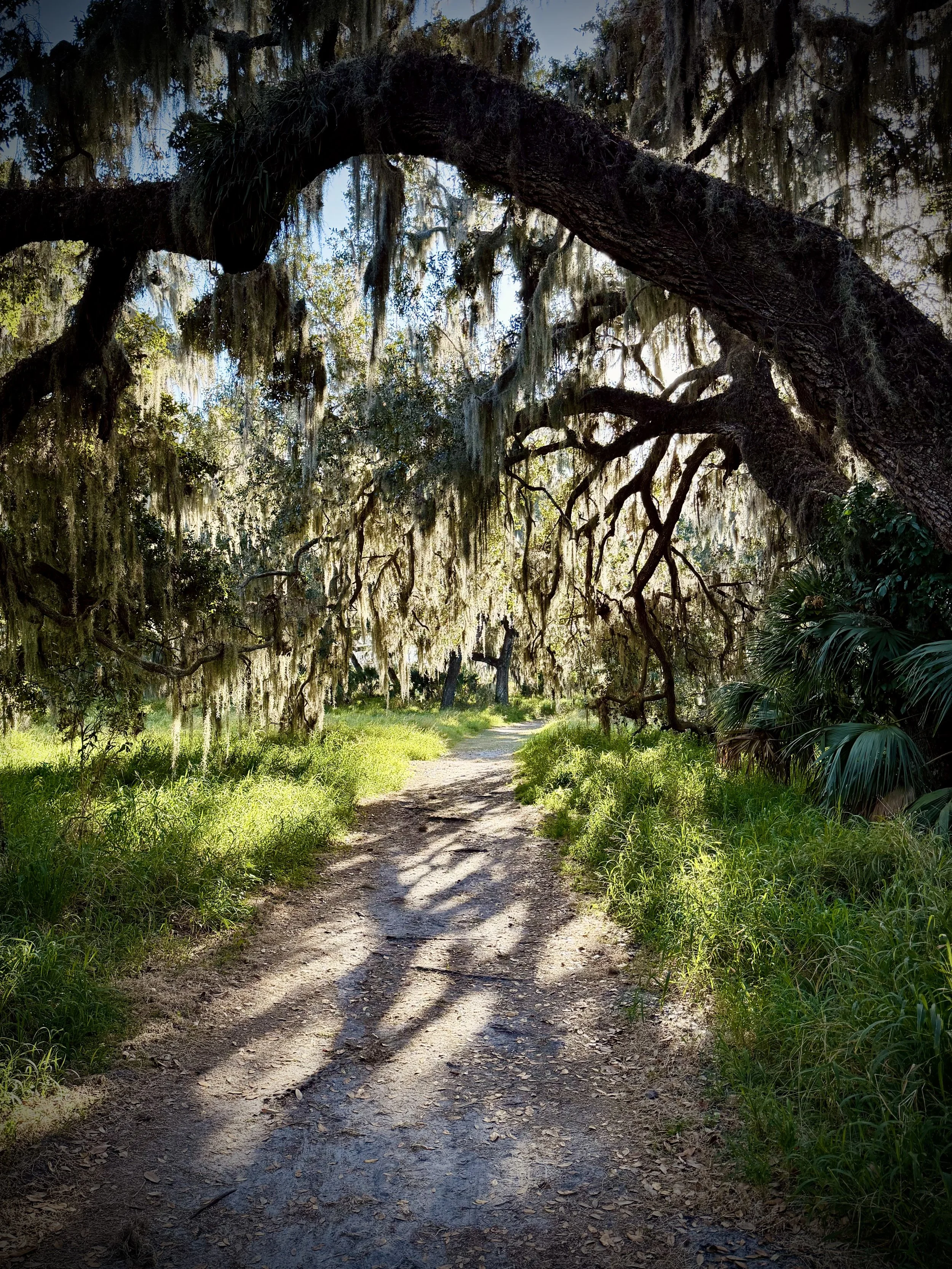 Shady Oak Trail, Lakeland