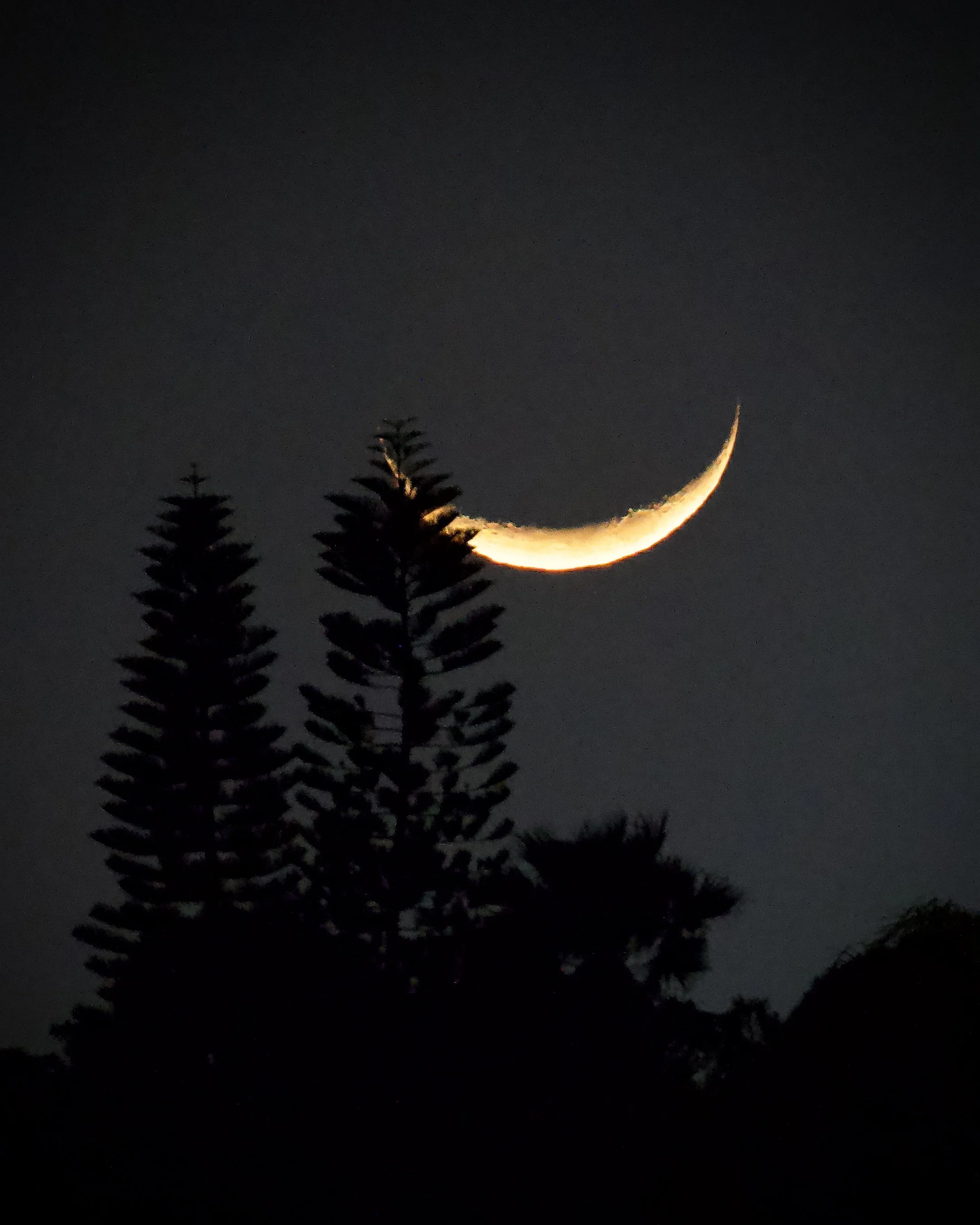 Backyard moonset