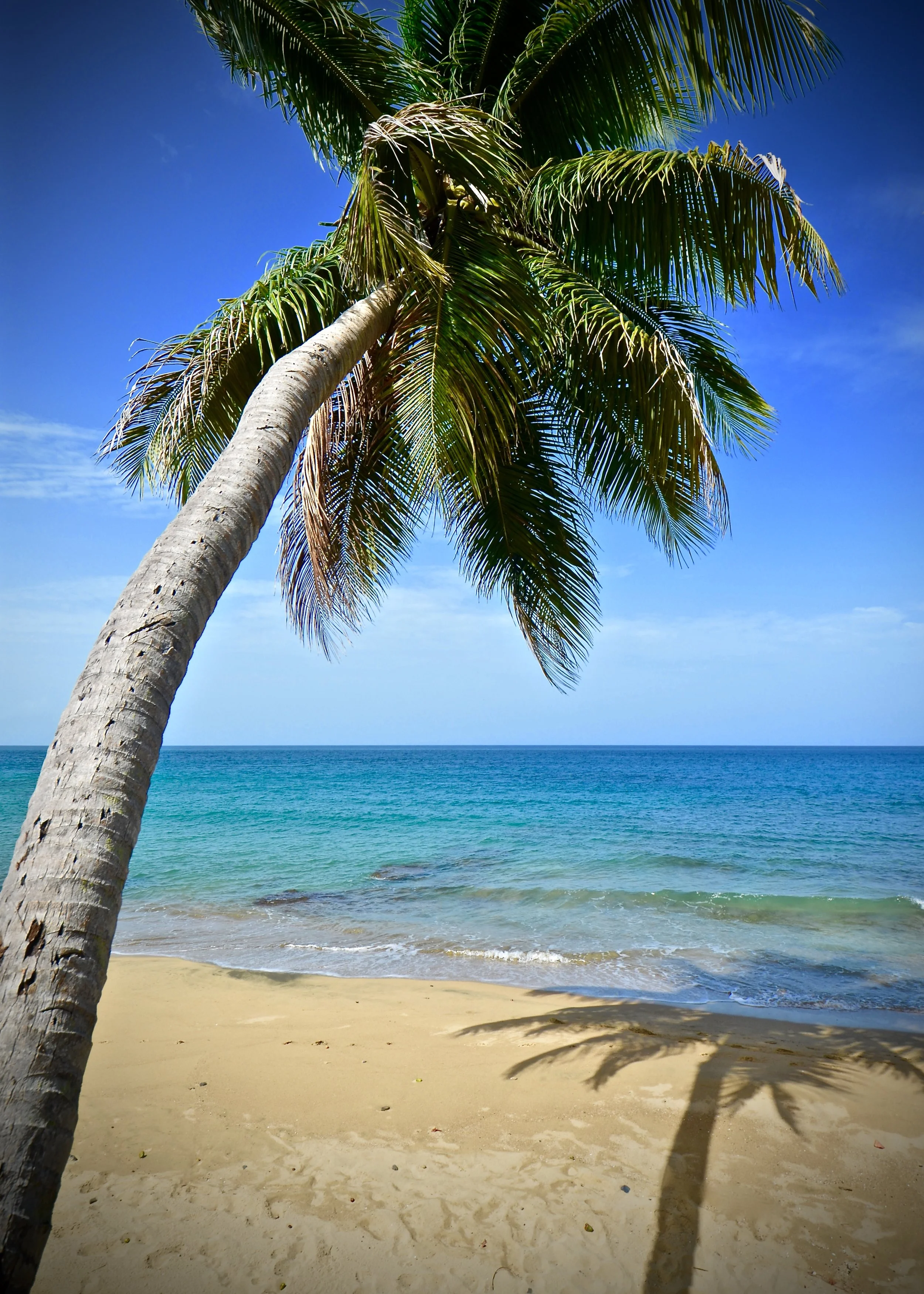 Rincon, Puerto Rico