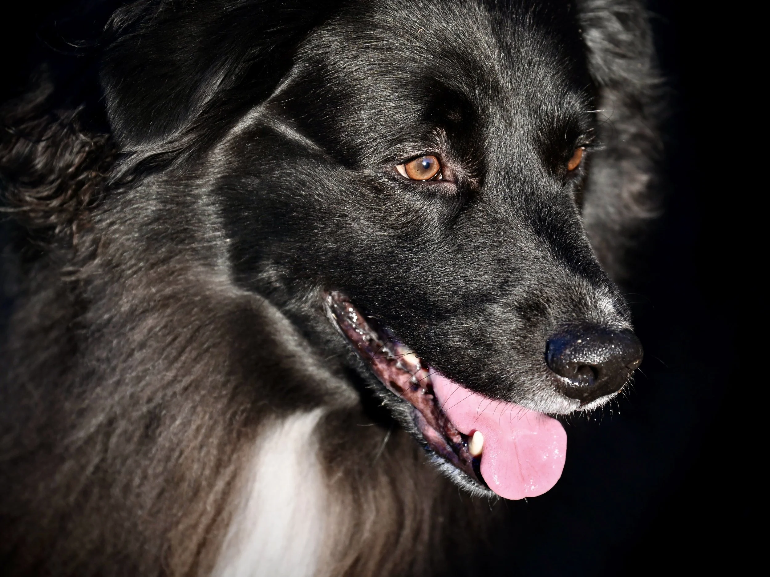 Tucker knows his good side