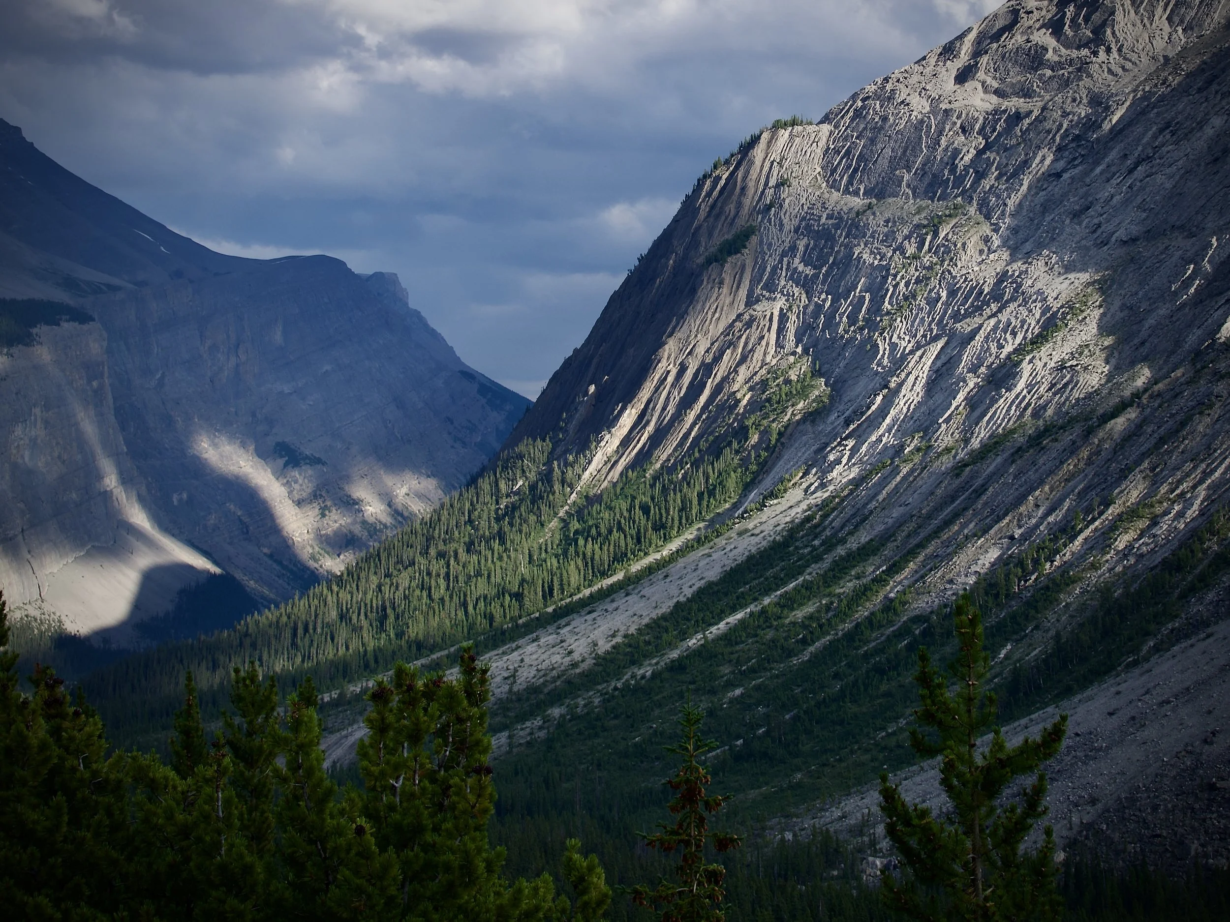 Icefields Parkway, Banff National Park 