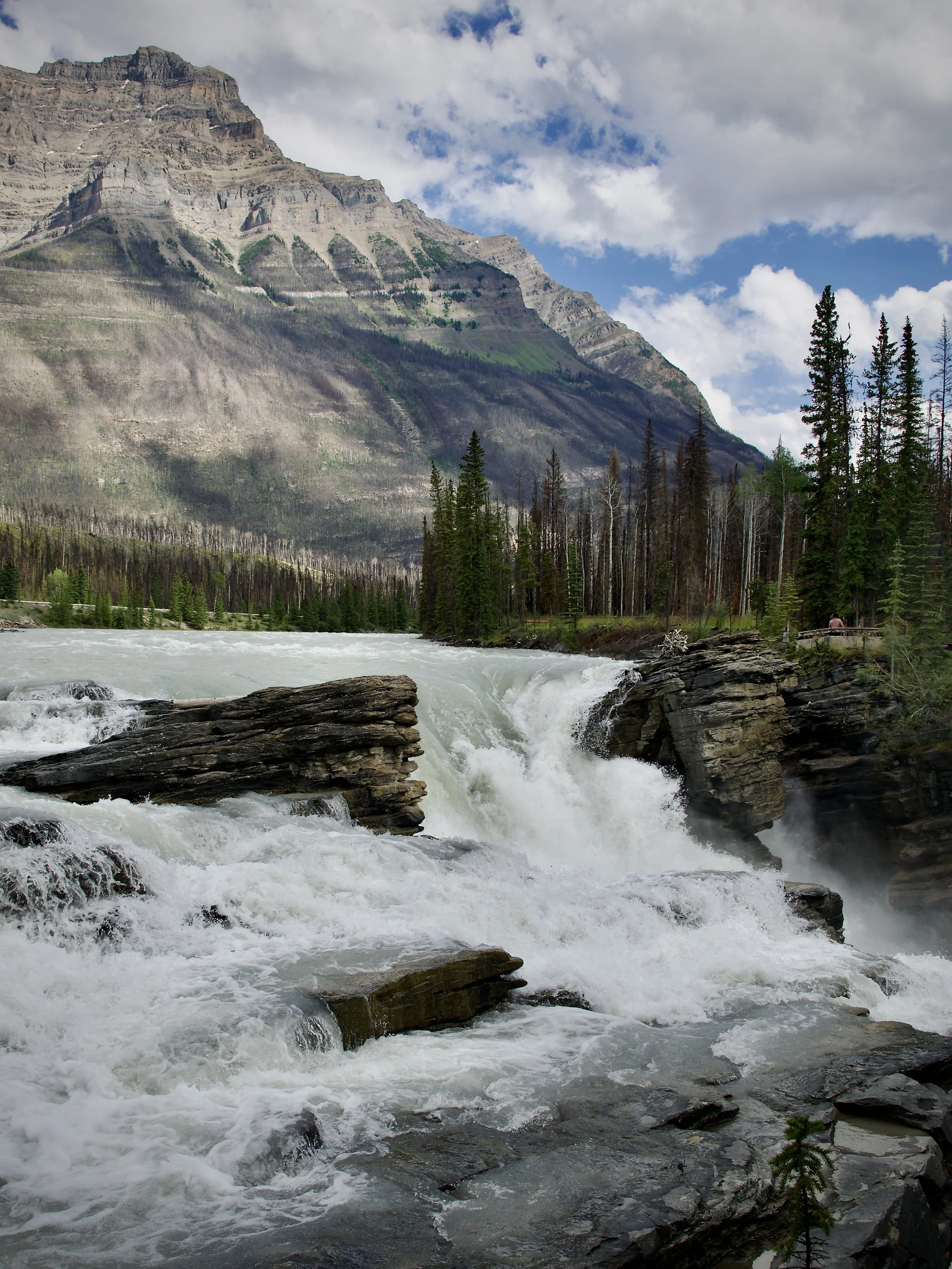 Athabasca Falls, Jasper National Park