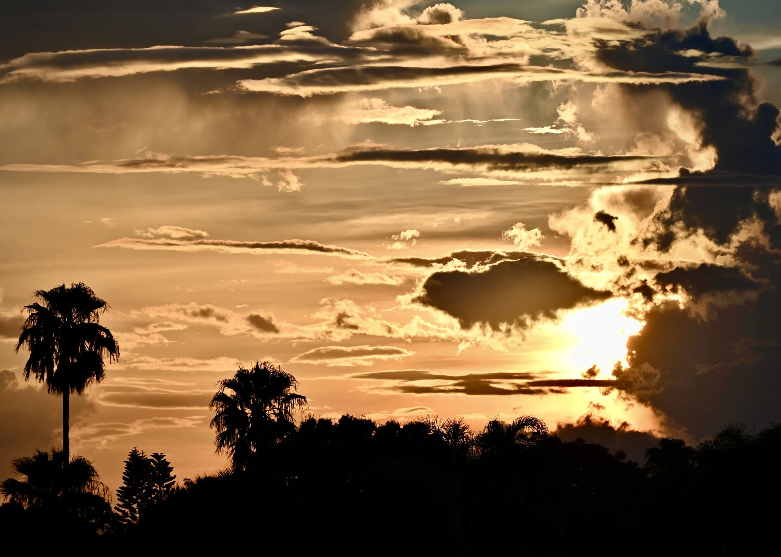 Backyard sunset