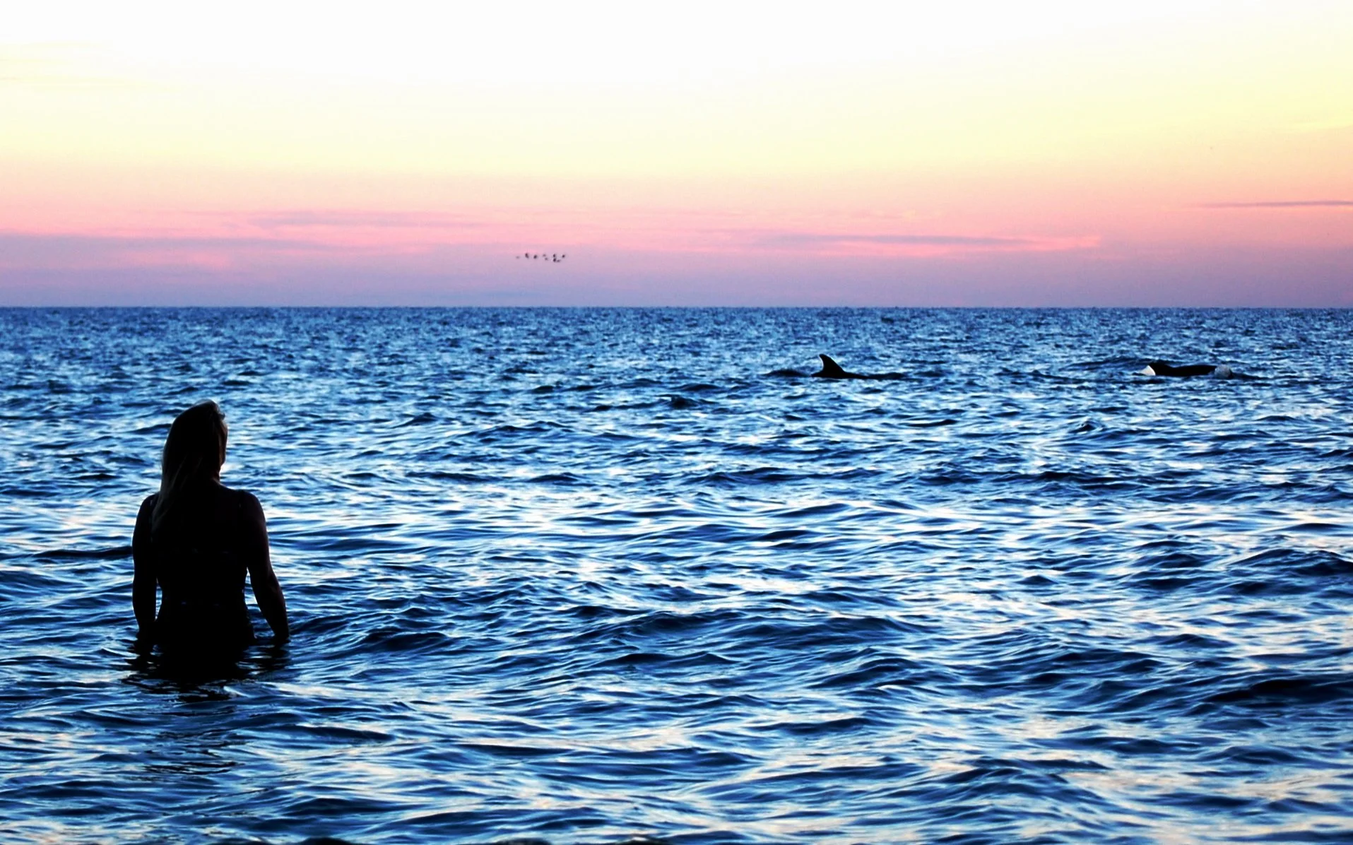 Kim and some dolphins, Gulf of Mexico