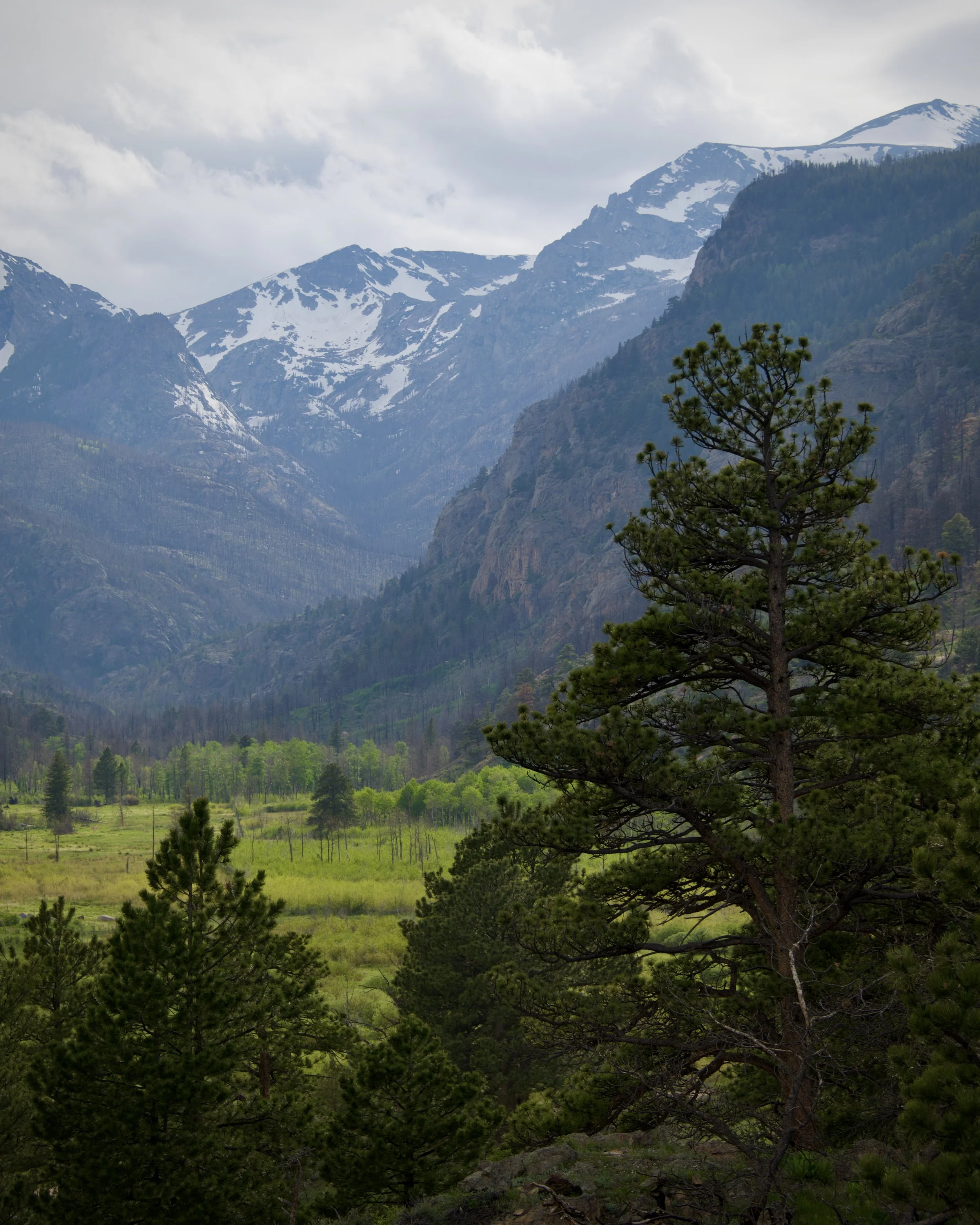 Moraine Park, Rocky Mountain National Park