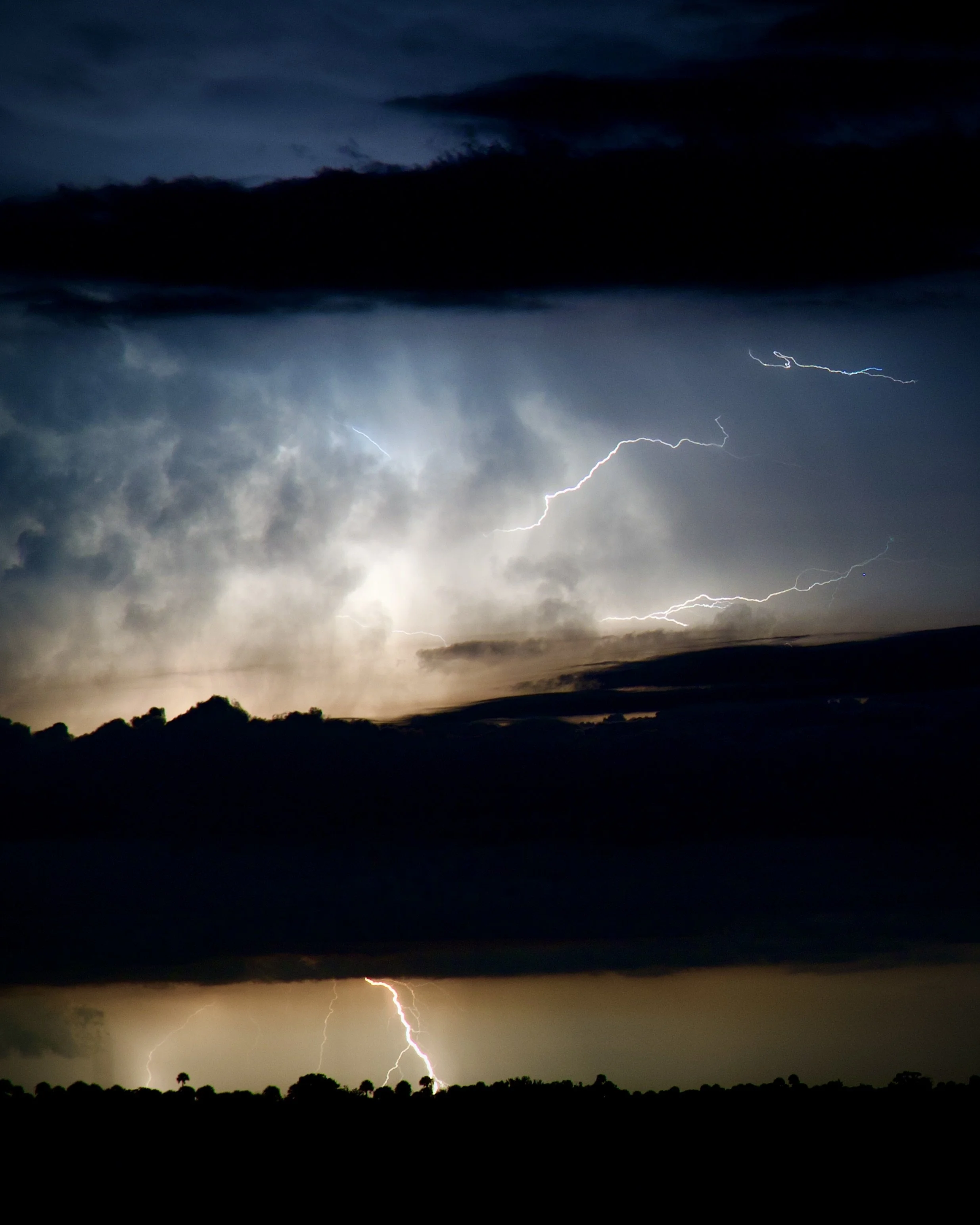 Kissimmee Prairie State Park