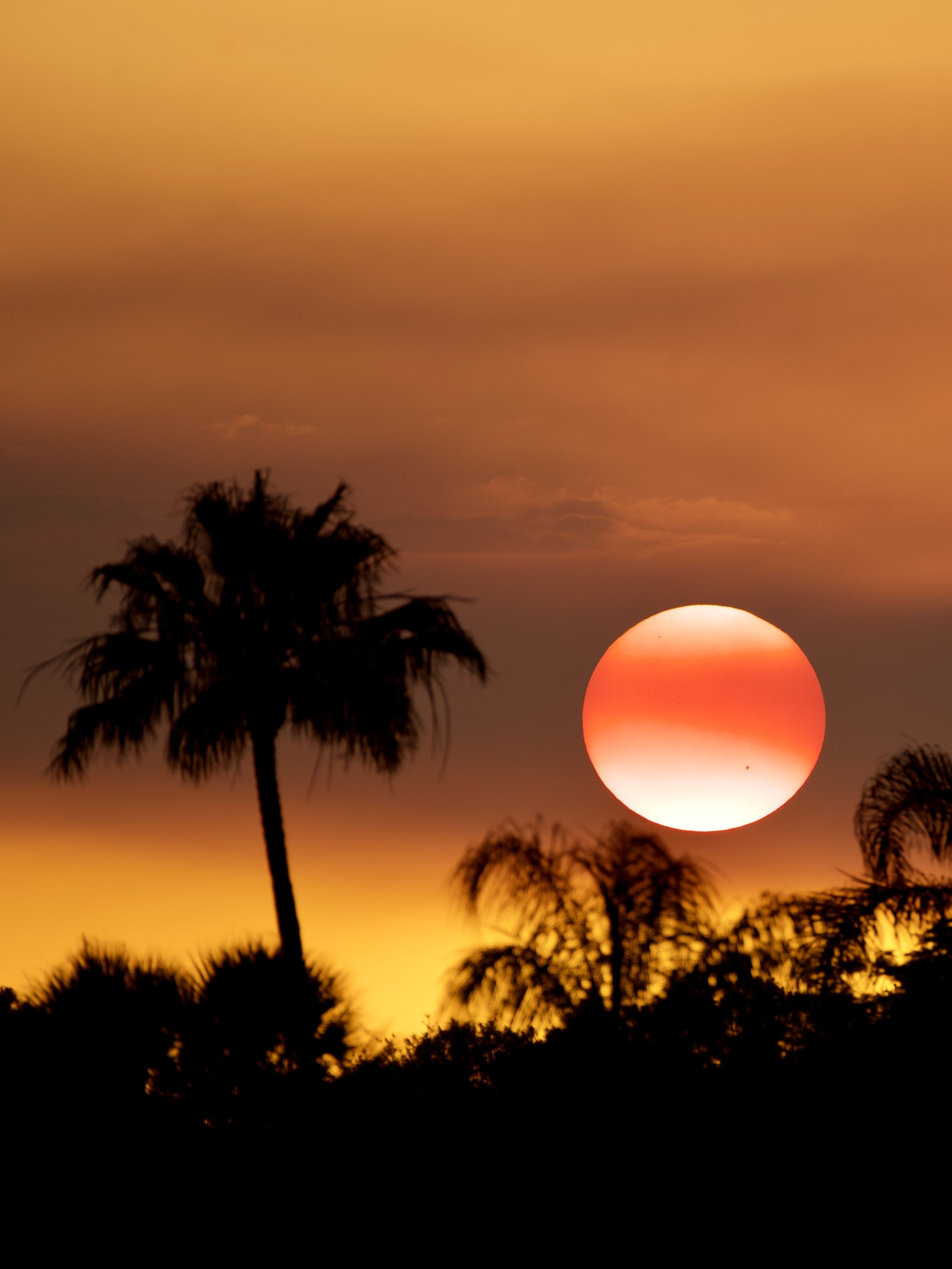 Candy corn sunset, Orlando