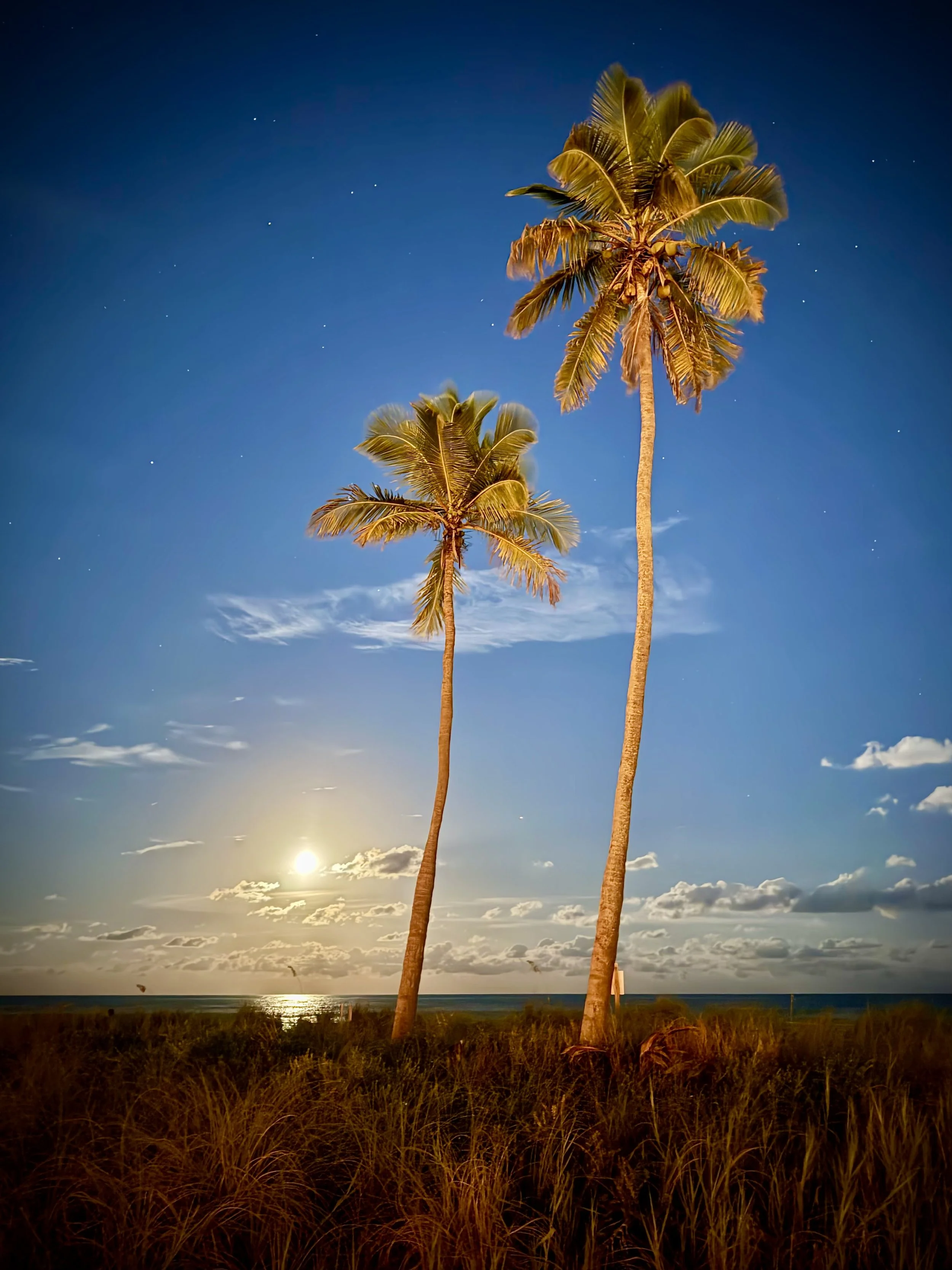 Moonrise, Hollywood Beach