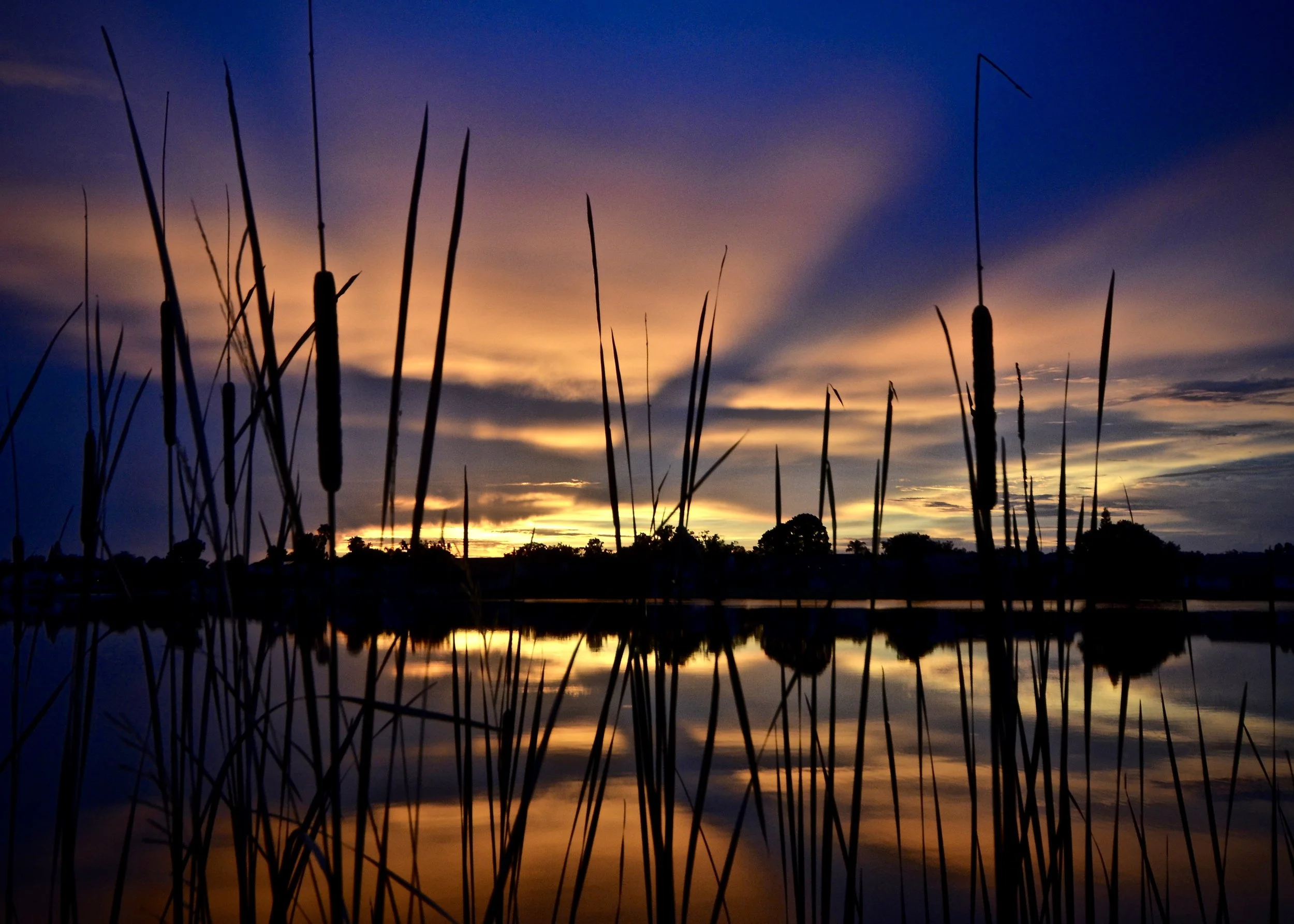 Backyard sunset 