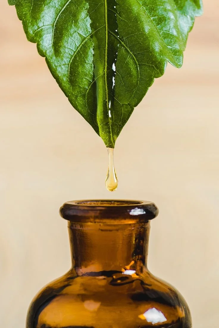 New Addiction Body Oil