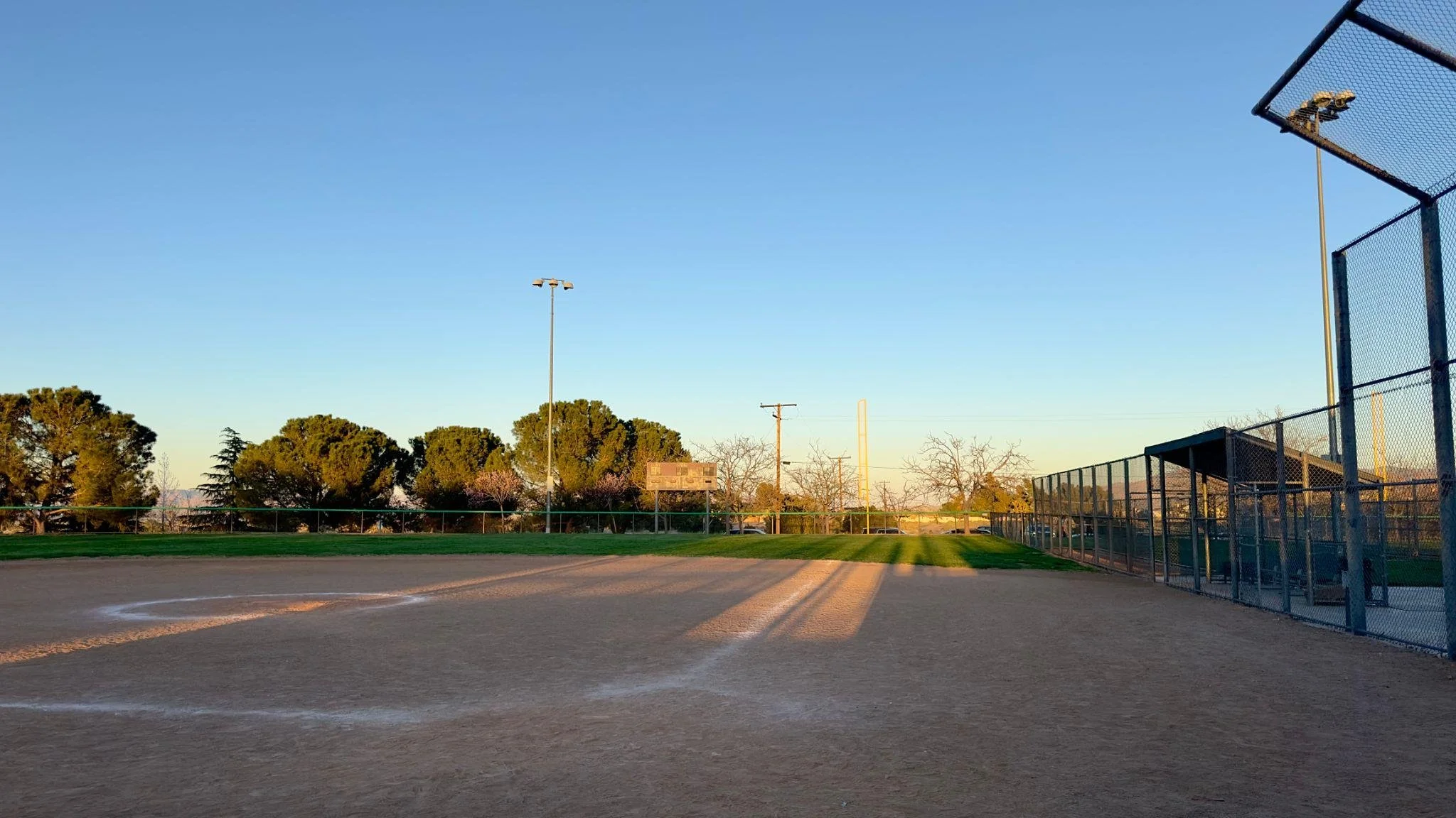 Week 8 Camp,  (July 20 - July 23) | Ages 12-14