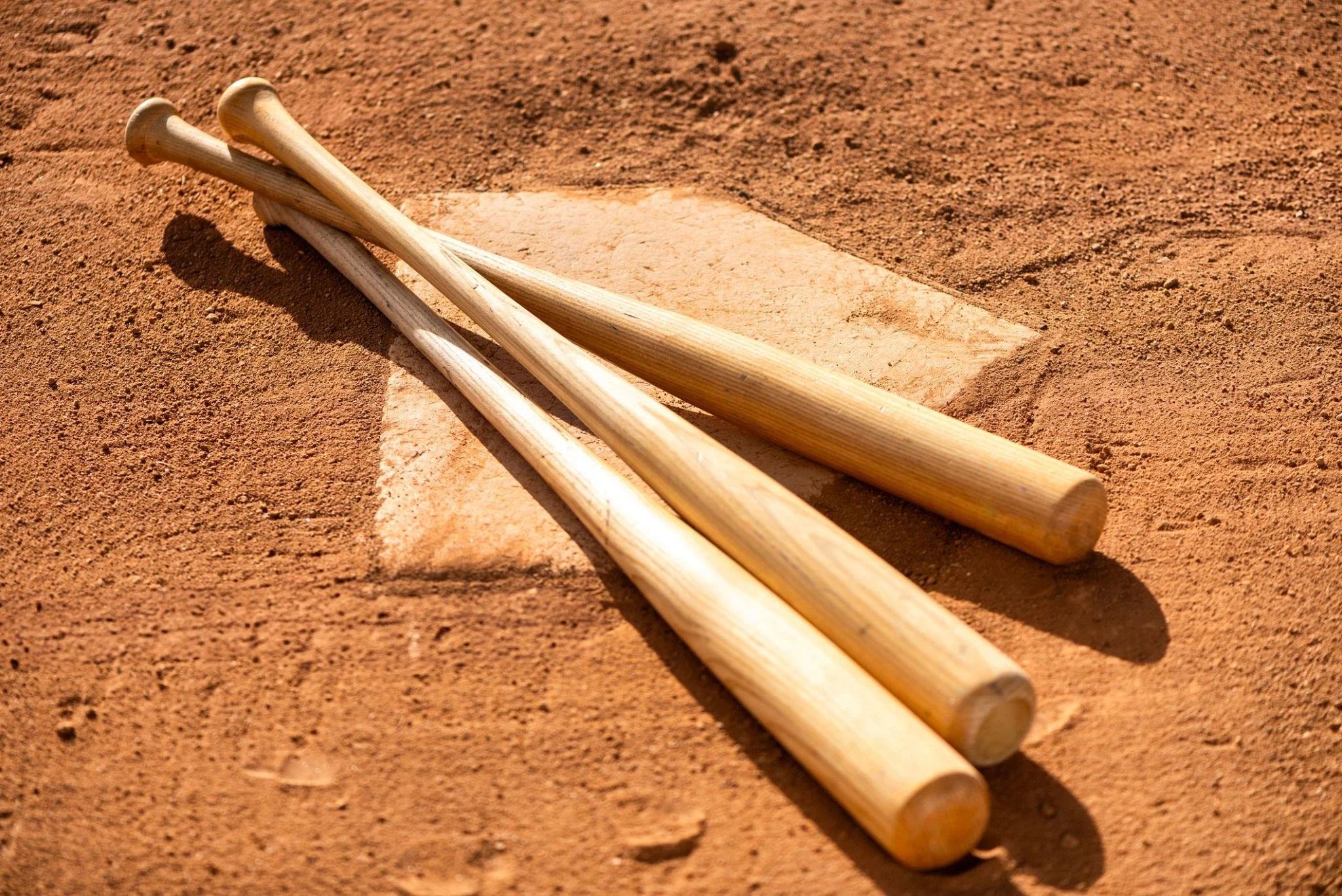 Week 6 Camp,  (July 6 - July 9) | Ages 12-14
