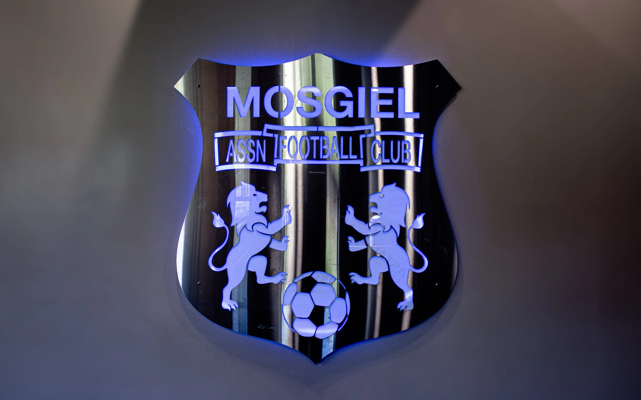 Illuminated Crest 2.jpg