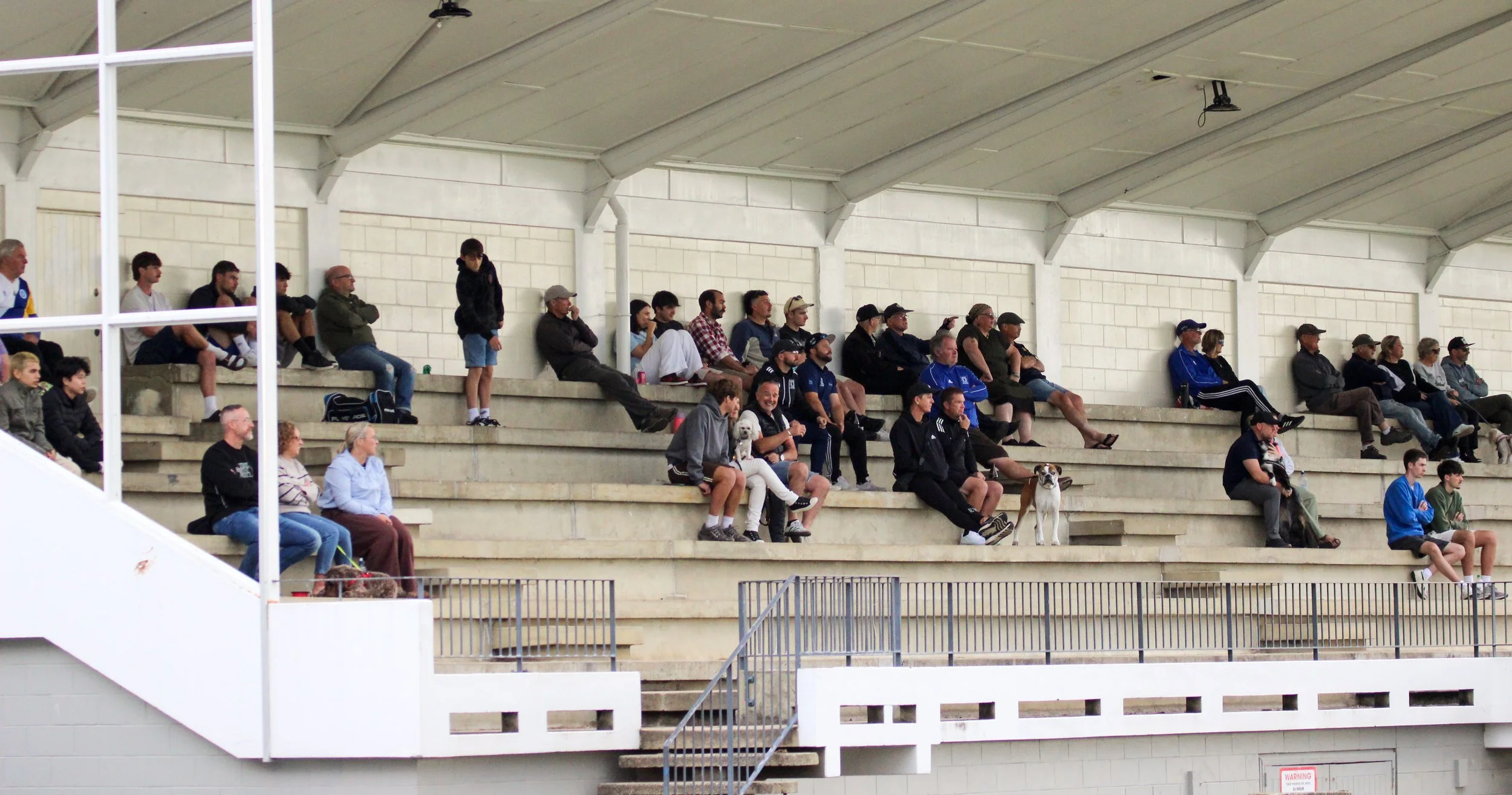 Spectators sitting on concrete bleachers inside a sports arena, with some standing and talking, and a dog sitting among them.