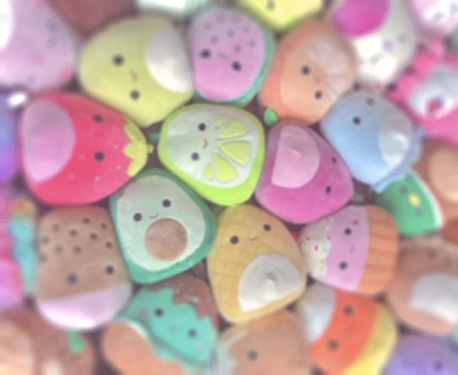 Squishmallow Packaging