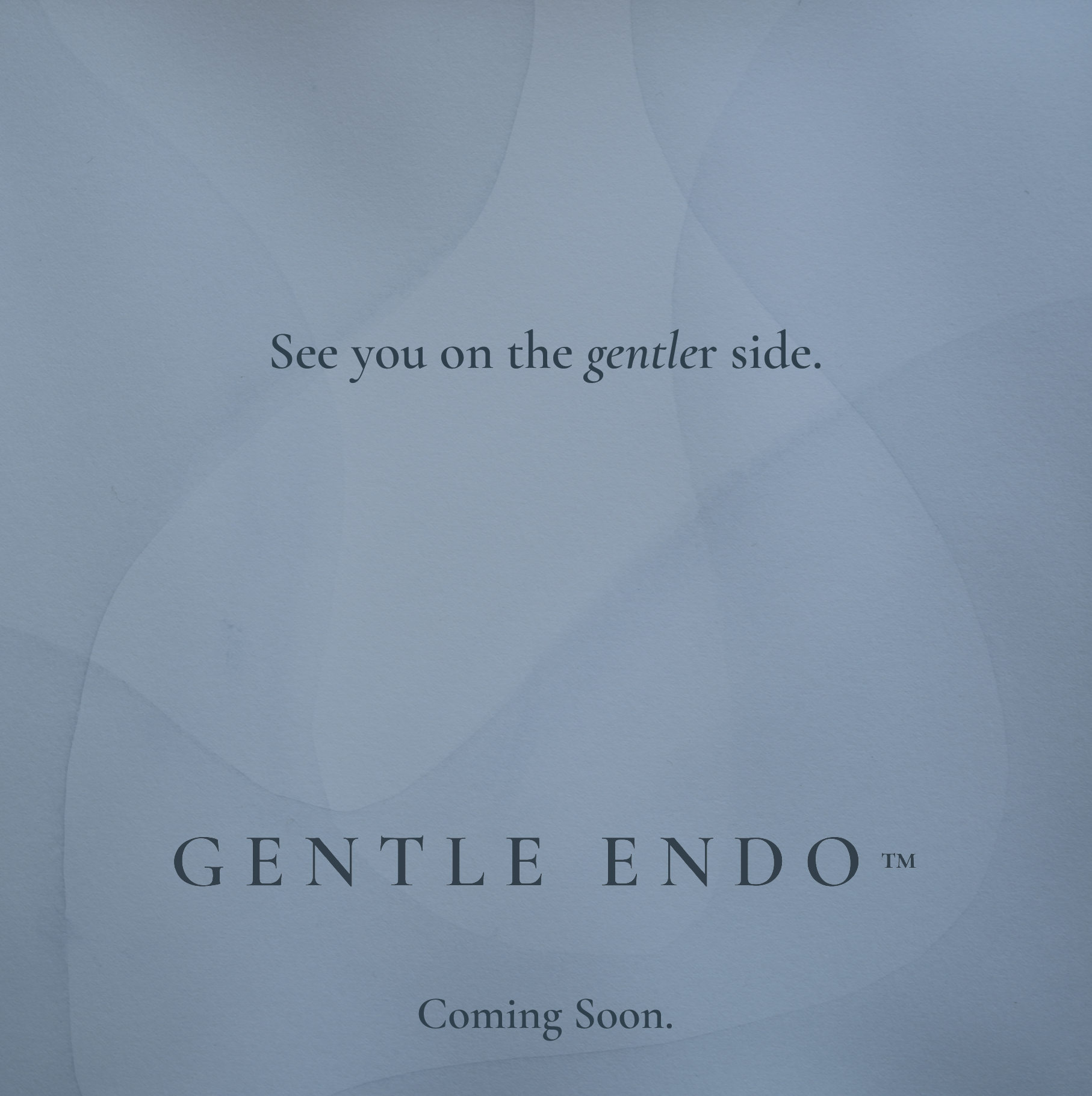 Close-up photo of GENTLE Endo artwork.