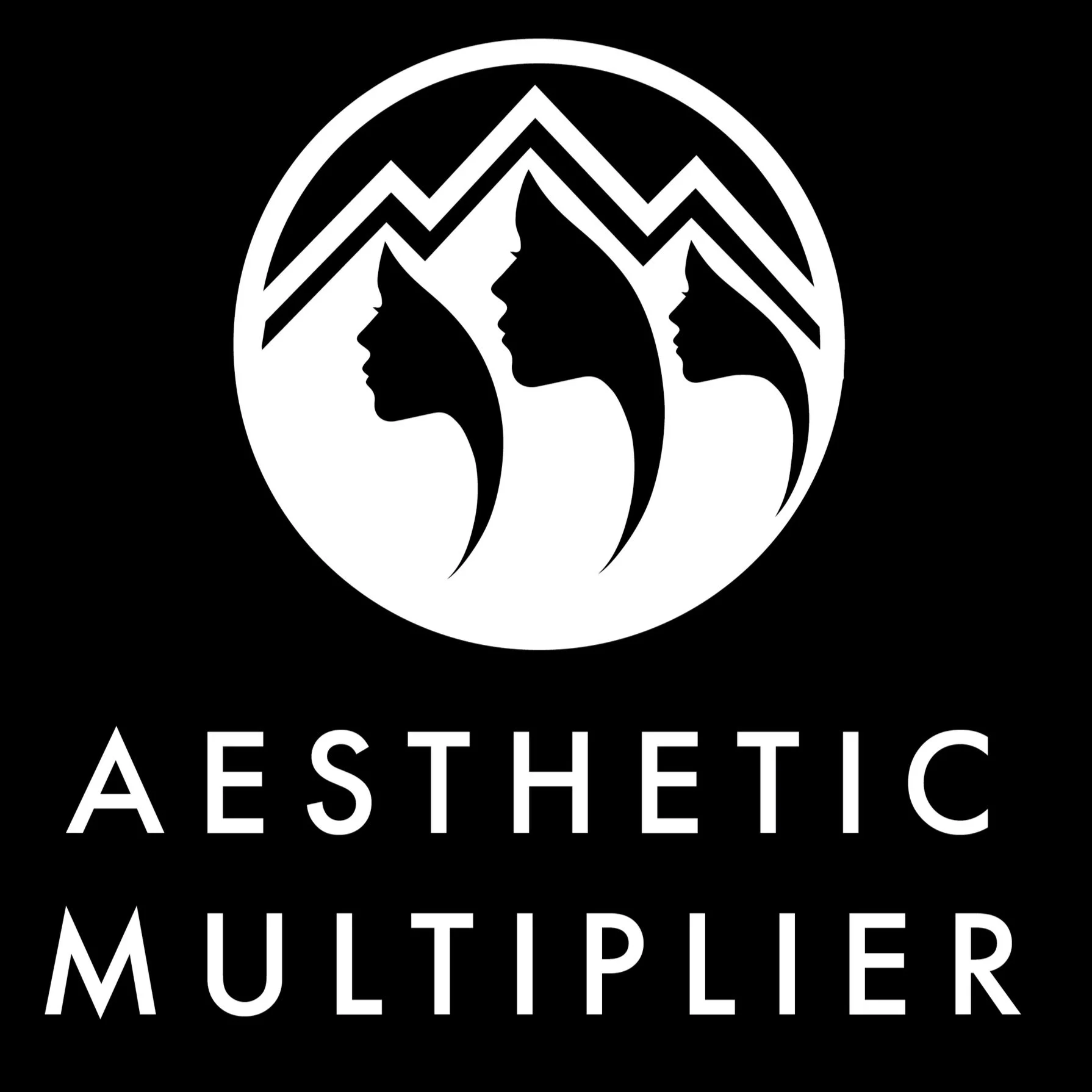 Black and white logo with three stylized human profiles, mountain peaks, and the words 'Aesthetic', 'Multiplayer'.