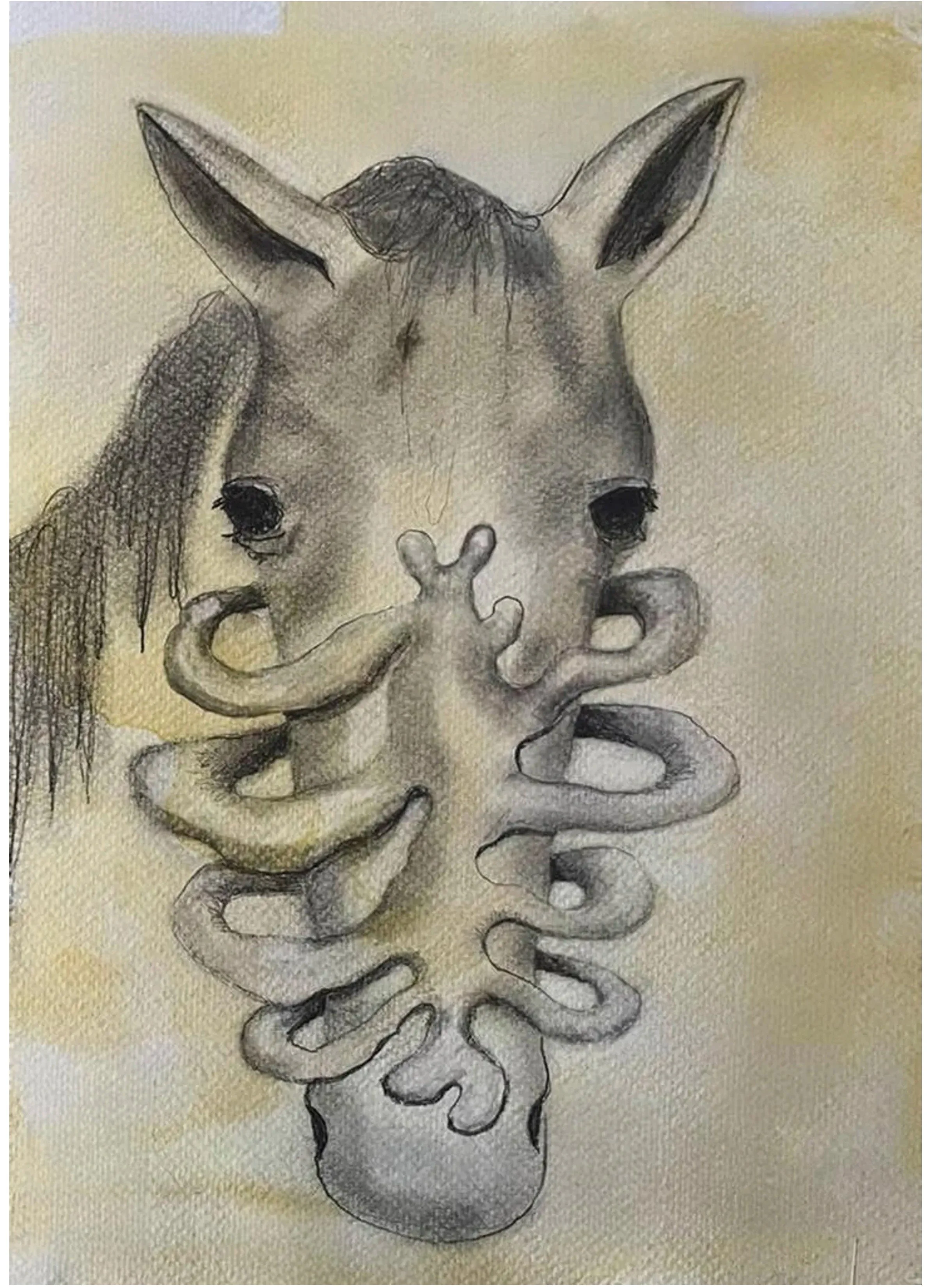 Horsecage print