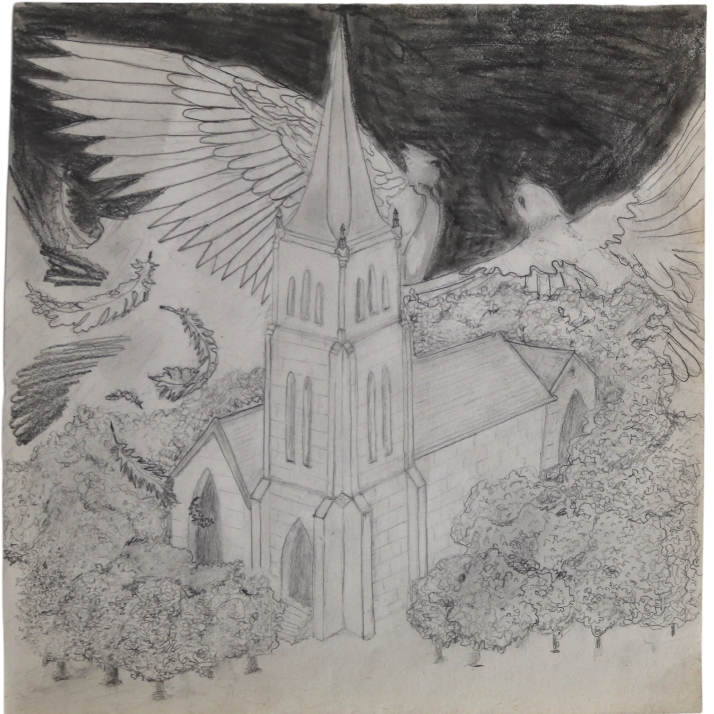 birdfight print
