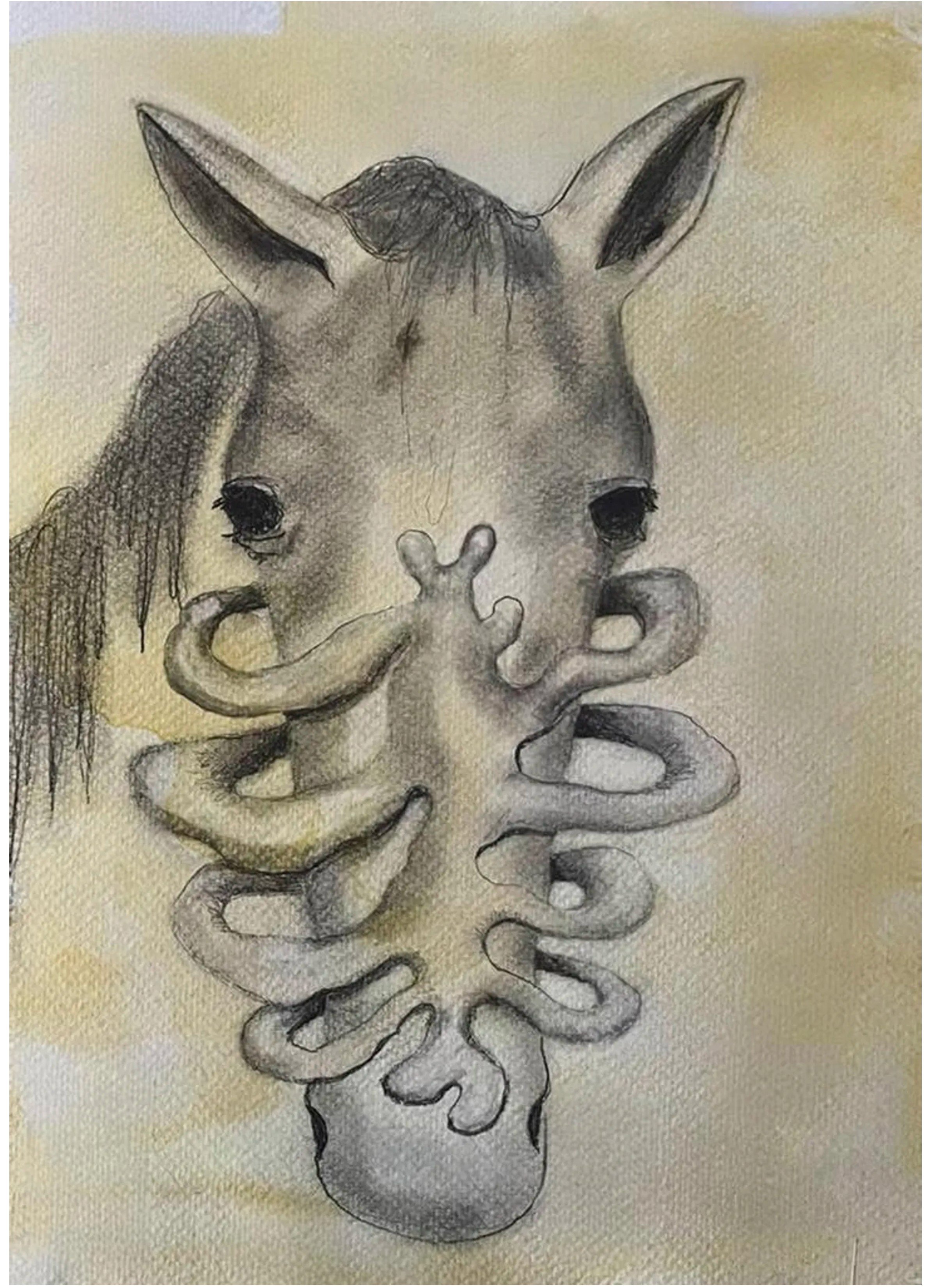 horse cage