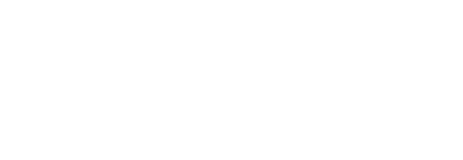 Maria Brewer for US Senate