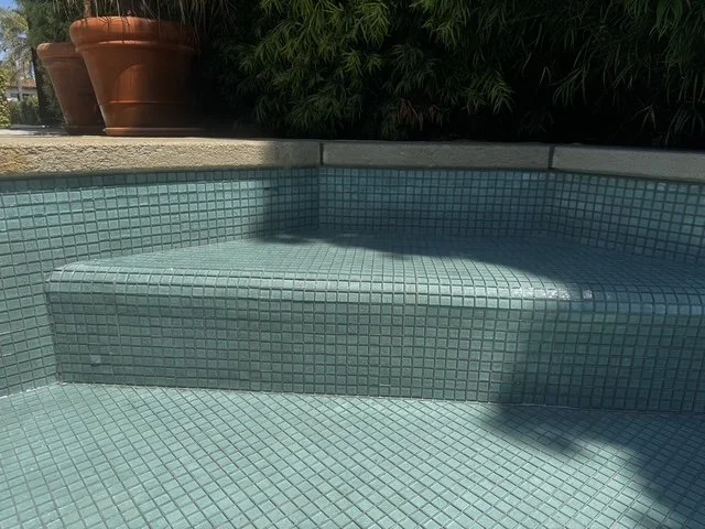 Empty swimming pool with light blue mosaic tiles, partially in shadow, with potted plants and bushes on the edge.