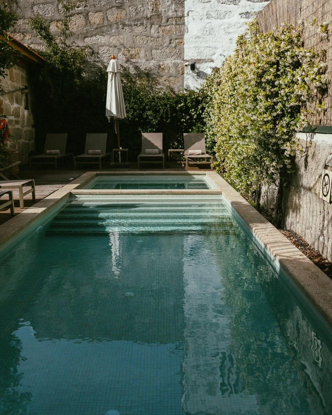 Small rectangular swimming pool with steps at the far end, surrounded by a wooden deck with chairs and an umbrella, white flowering bushes along the right side, stone and brick walls in the background.