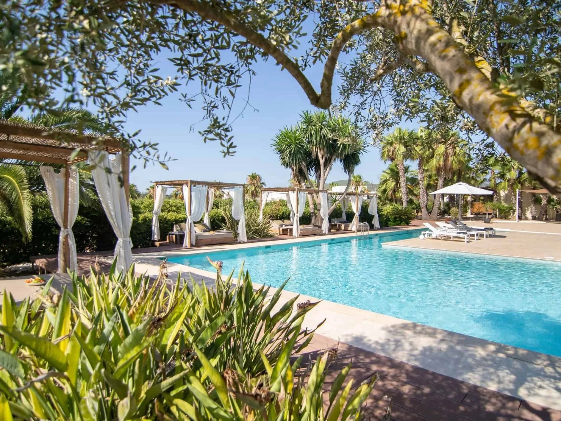 A swimming pool surrounded by lounge chairs, cabanas with curtains, and lush green trees with palm trees and flowering plants in the background, under a clear blue sky.