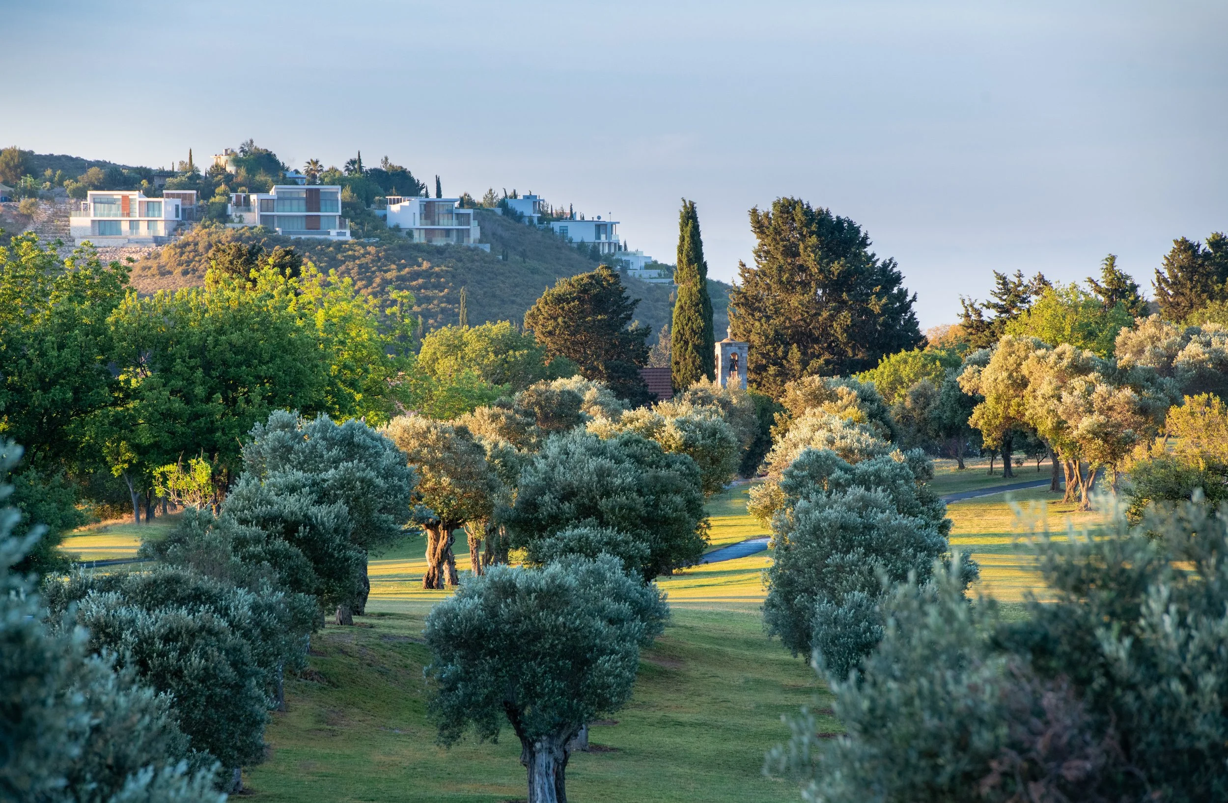 A scenic landscape featuring a park with trimmed bushes, trees, and a grassy area in the foreground, with modern houses on a hillside in the background, under a clear sky.