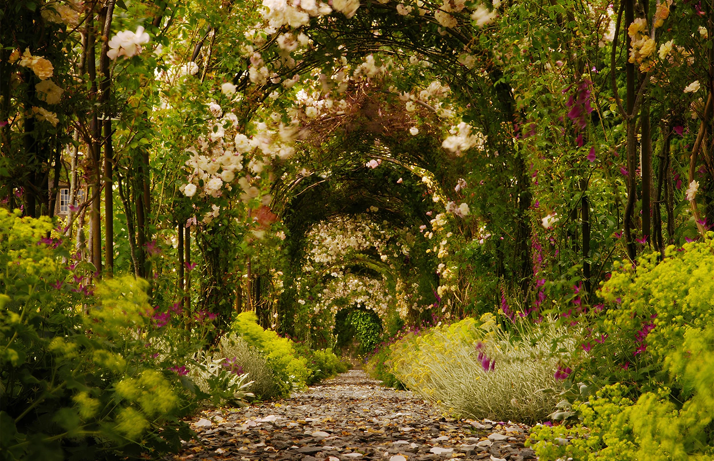 A garden pathway flanked by lush green plants and colorful flowers, covered by a decorative archway of blooming white and pink blossoms.