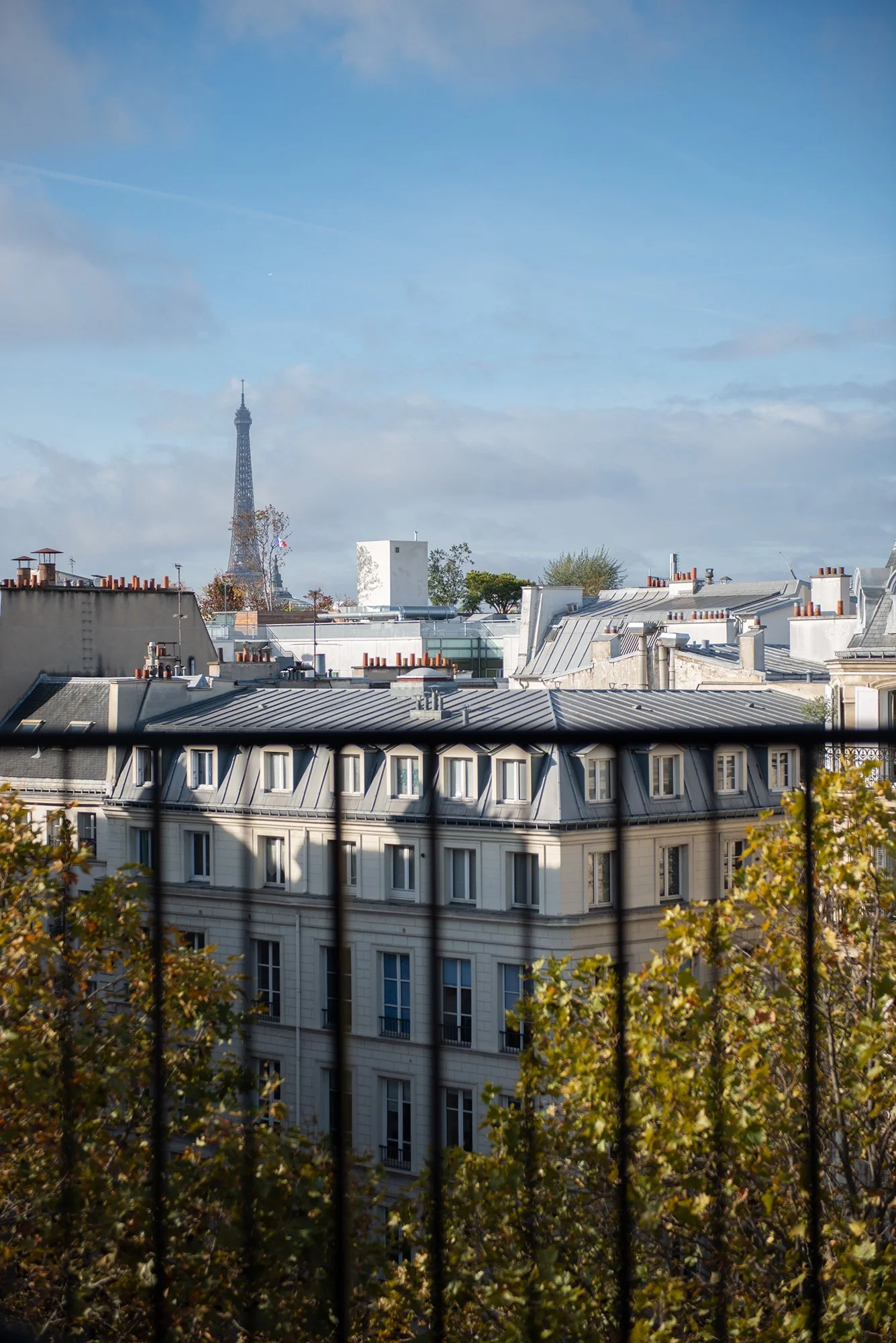City view from a window with a black railing, showing rooftops, trees with autumn leaves, and the Eiffel Tower in the distance under a partly cloudy sky.