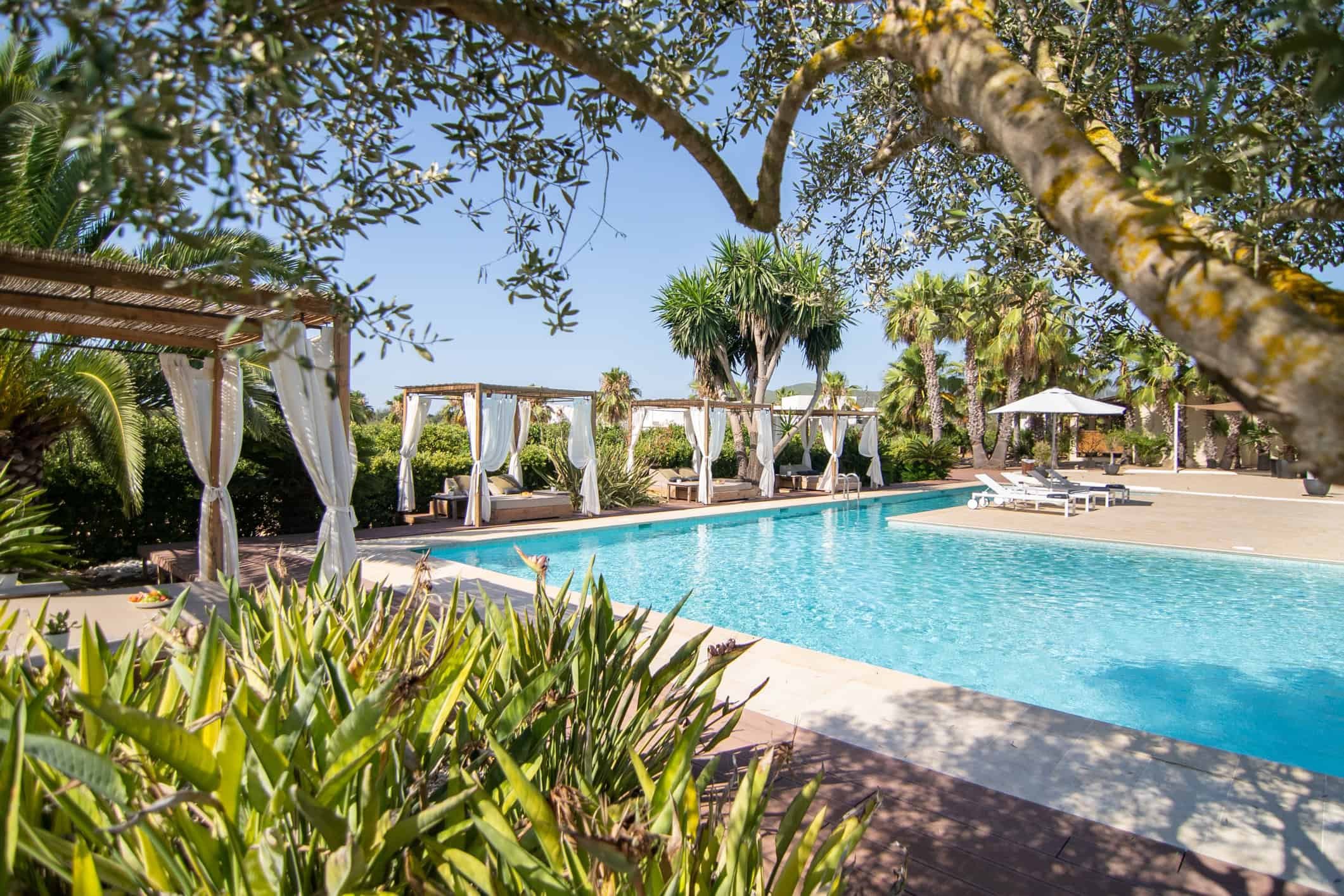 A swimming pool surrounded by lounge chairs and cabanas with white curtains, tall palm trees, and lush greenery under a clear blue sky, indicating a relaxing outdoor resort setting.