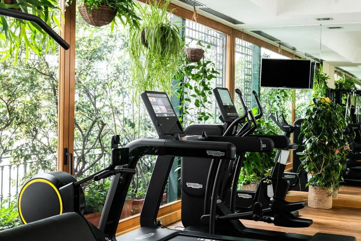 Exercise equipment including treadmills and elliptical machines in a gym with large windows, green plants, and hanging baskets.