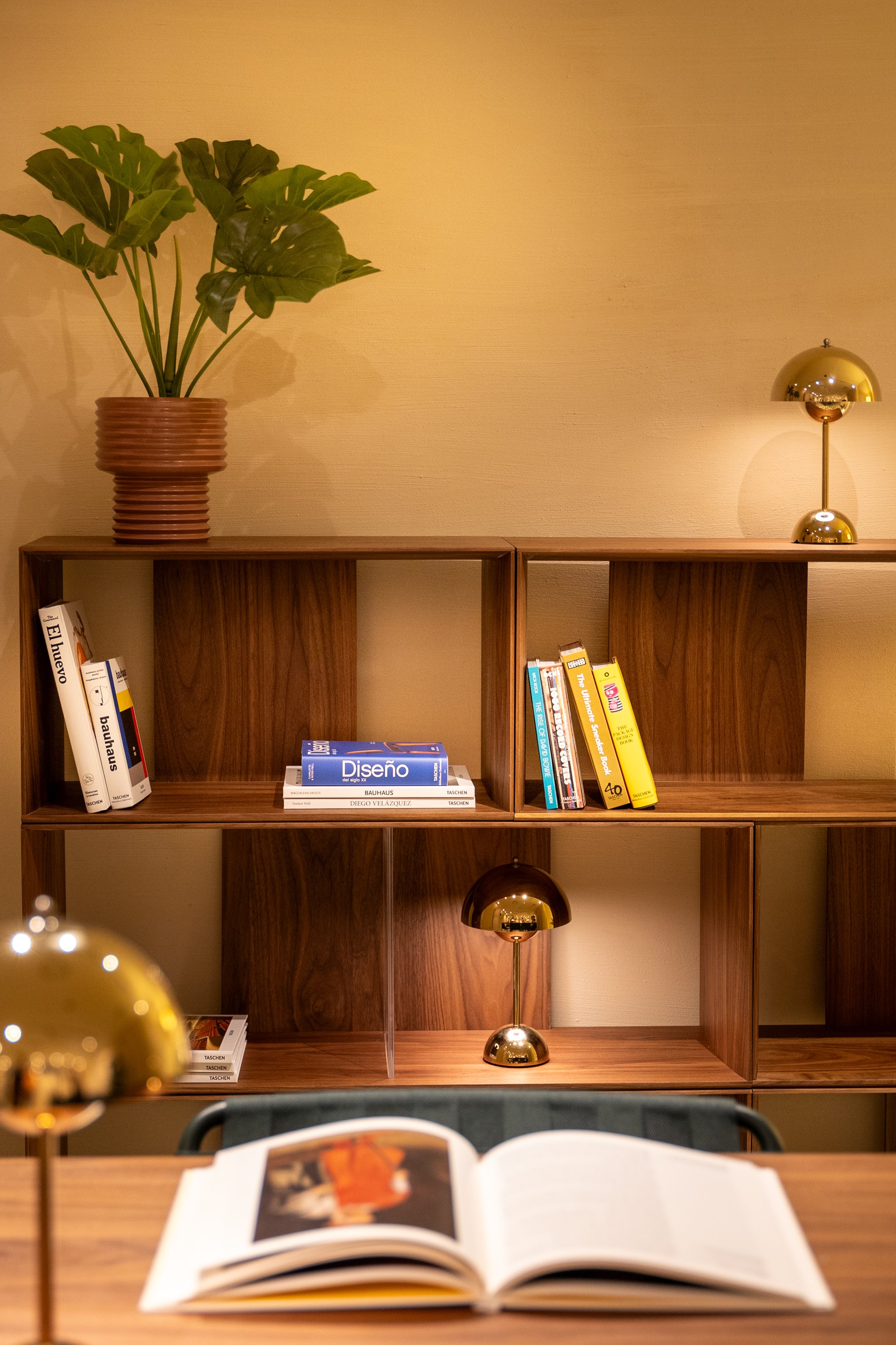 A wooden bookshelf with empty sections, a potted plant with large green leaves on top left, a small table lamp with a brass finish on the right, and an open book on the table in the foreground.
