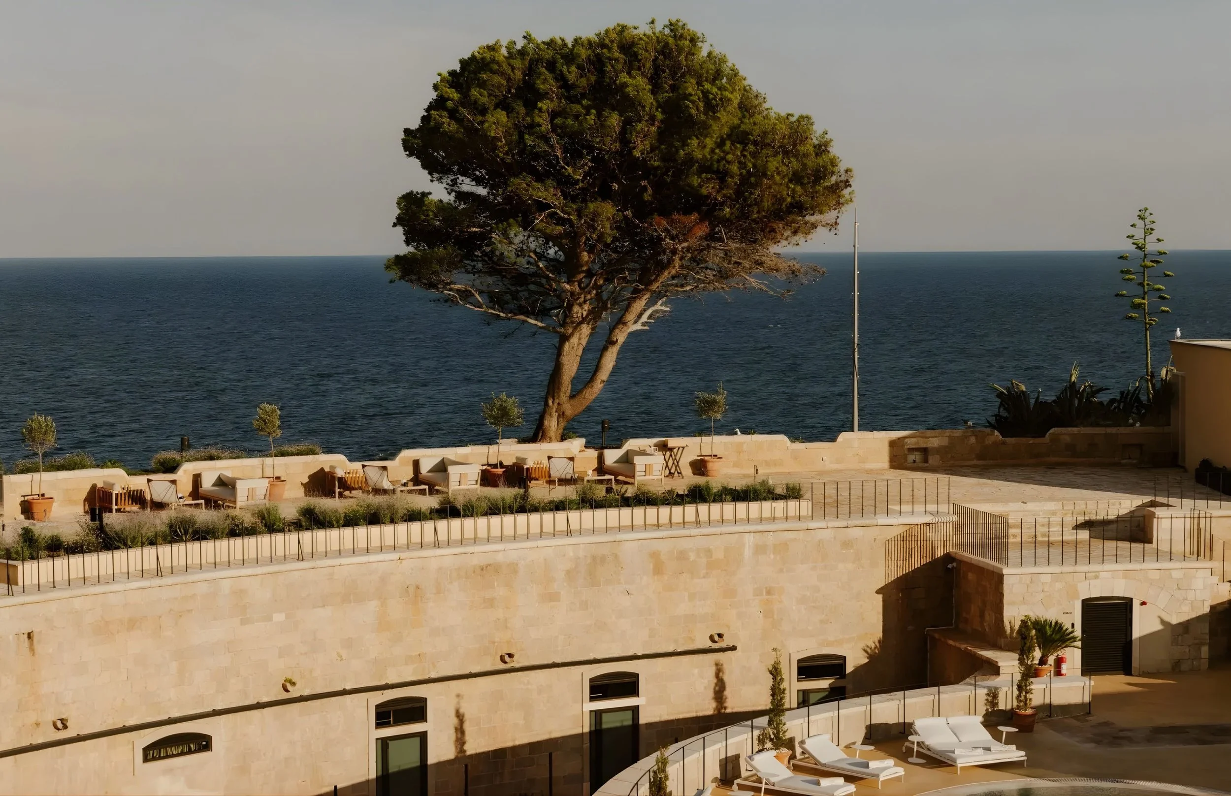 A large tree with green foliage near the ocean, viewed from a terrace with outdoor seating and potted plants, during daytime.