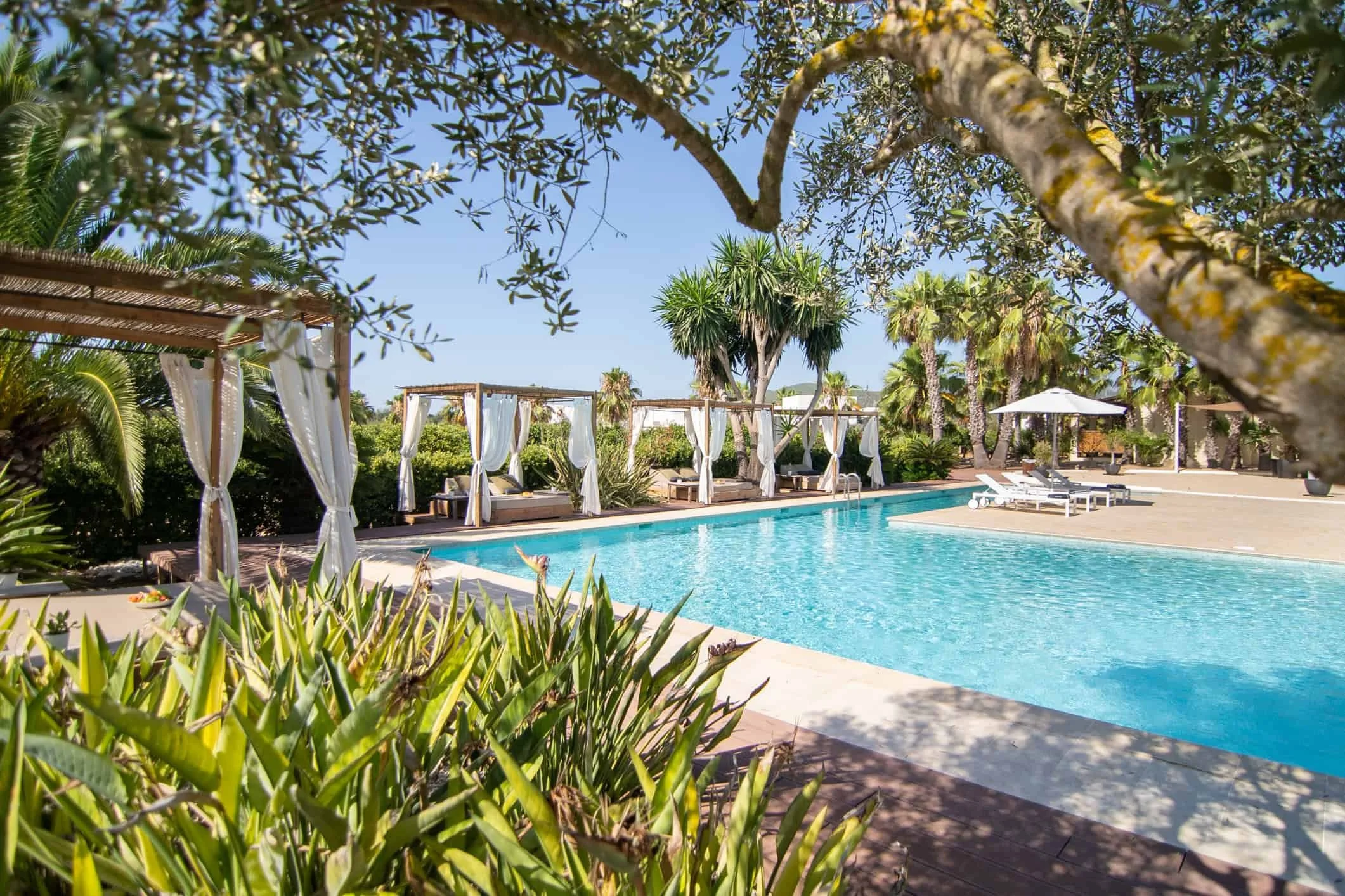 Resort pool area with lounging chairs, cabanas with draped curtains, palm trees, and clear blue sky.