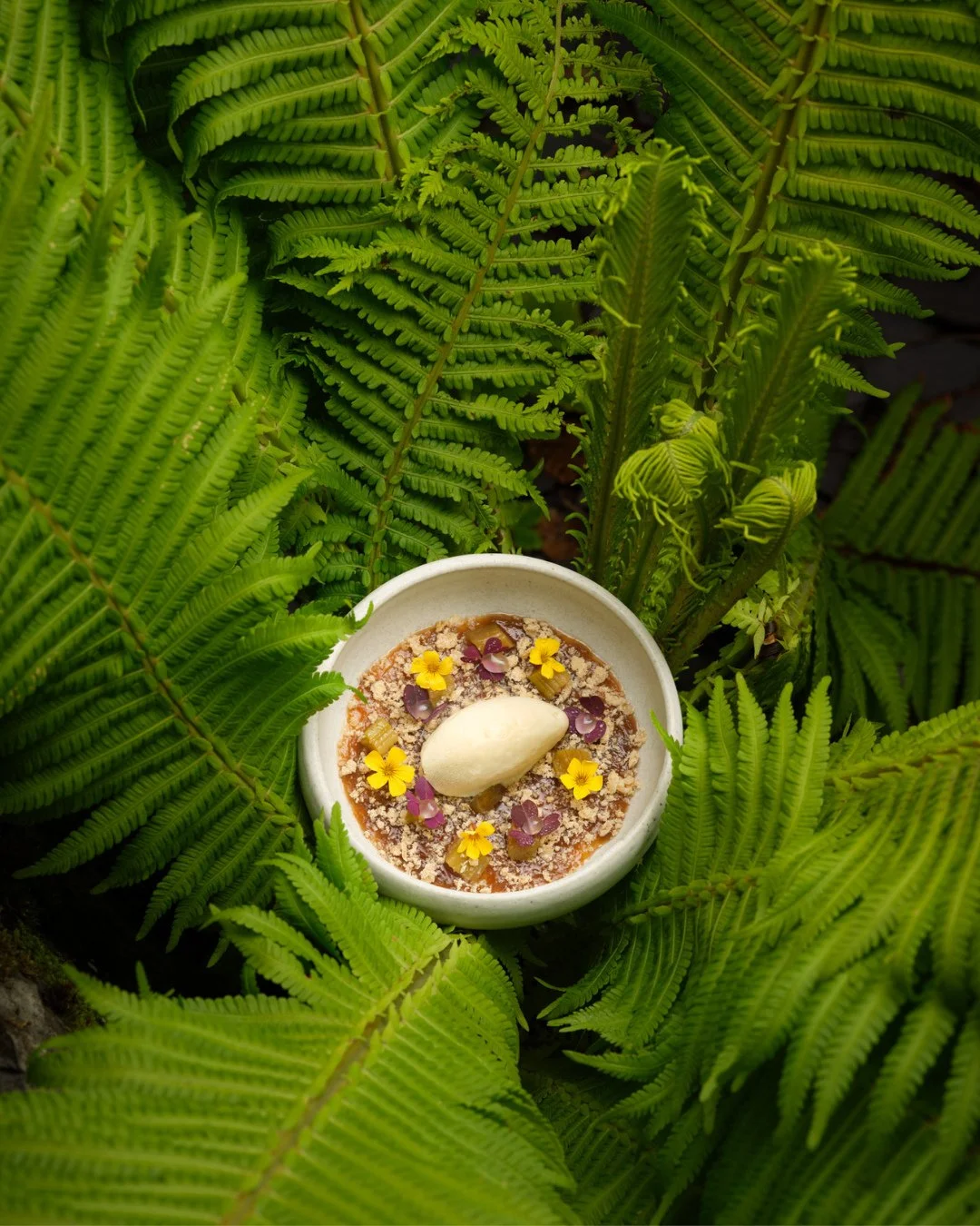 A dessert garnished with edible flowers, purple leaves, and a scoop of ice cream in a white bowl surrounded by lush green fern leaves.