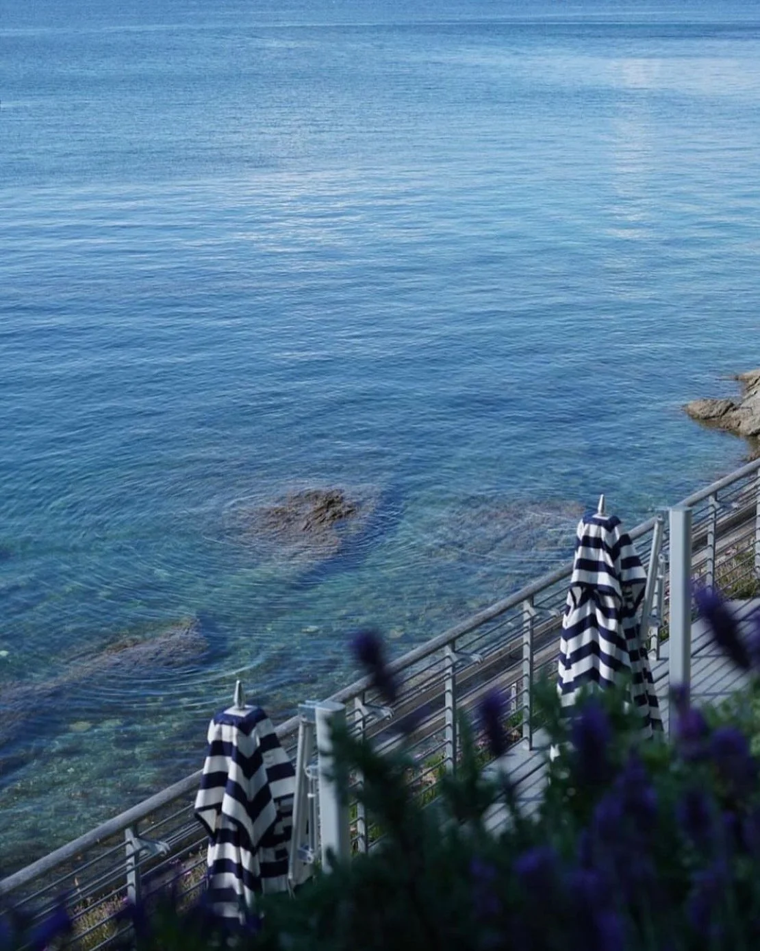 View of calm, blue ocean water with rocks near the shore and a seaside terrace with striped umbrellas and a railing, partially obscured by plants and flowers in the foreground.