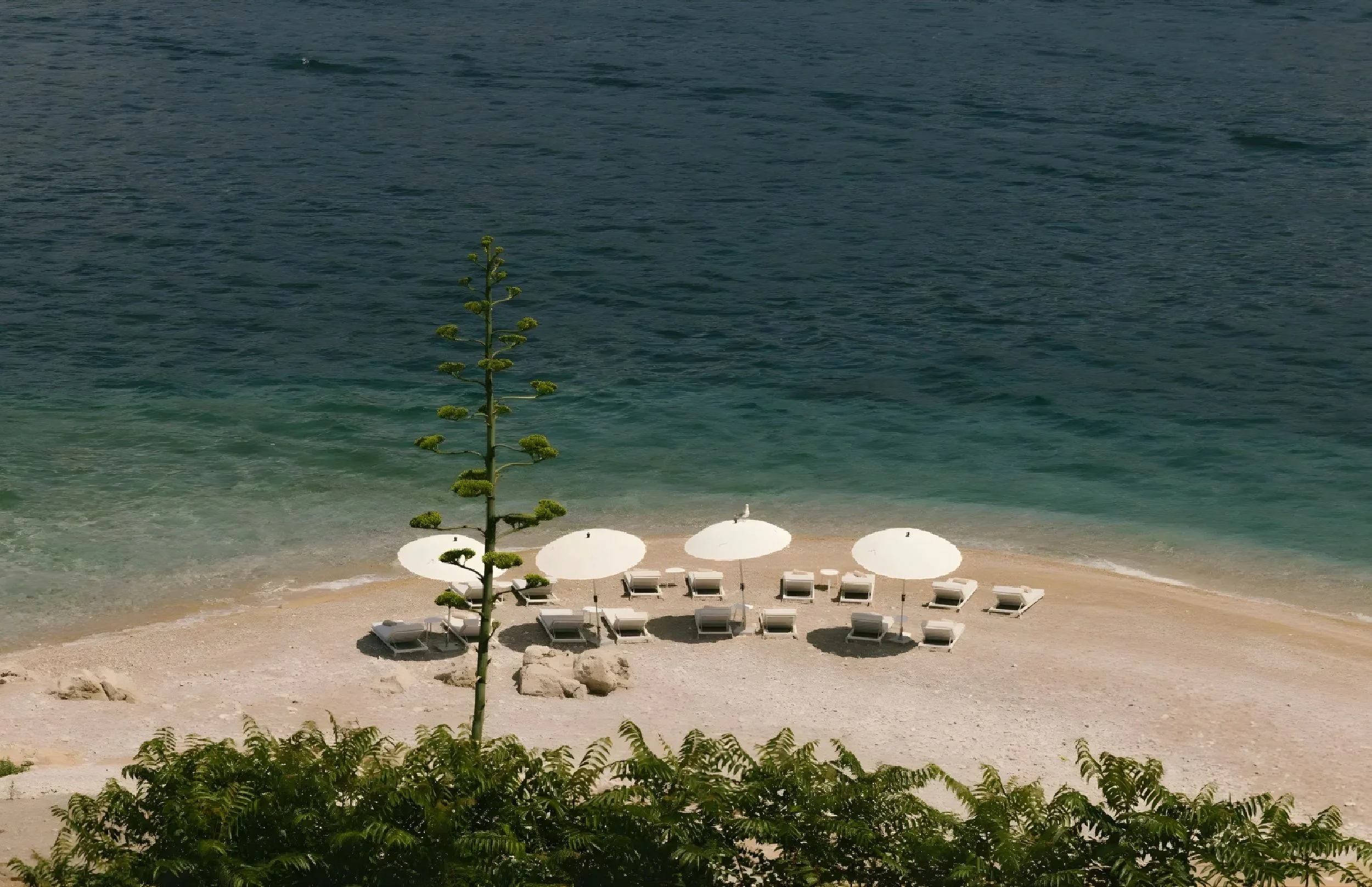 Beach with lounge chairs, umbrellas, and greenery, facing the ocean with gentle waves and a clear sky.