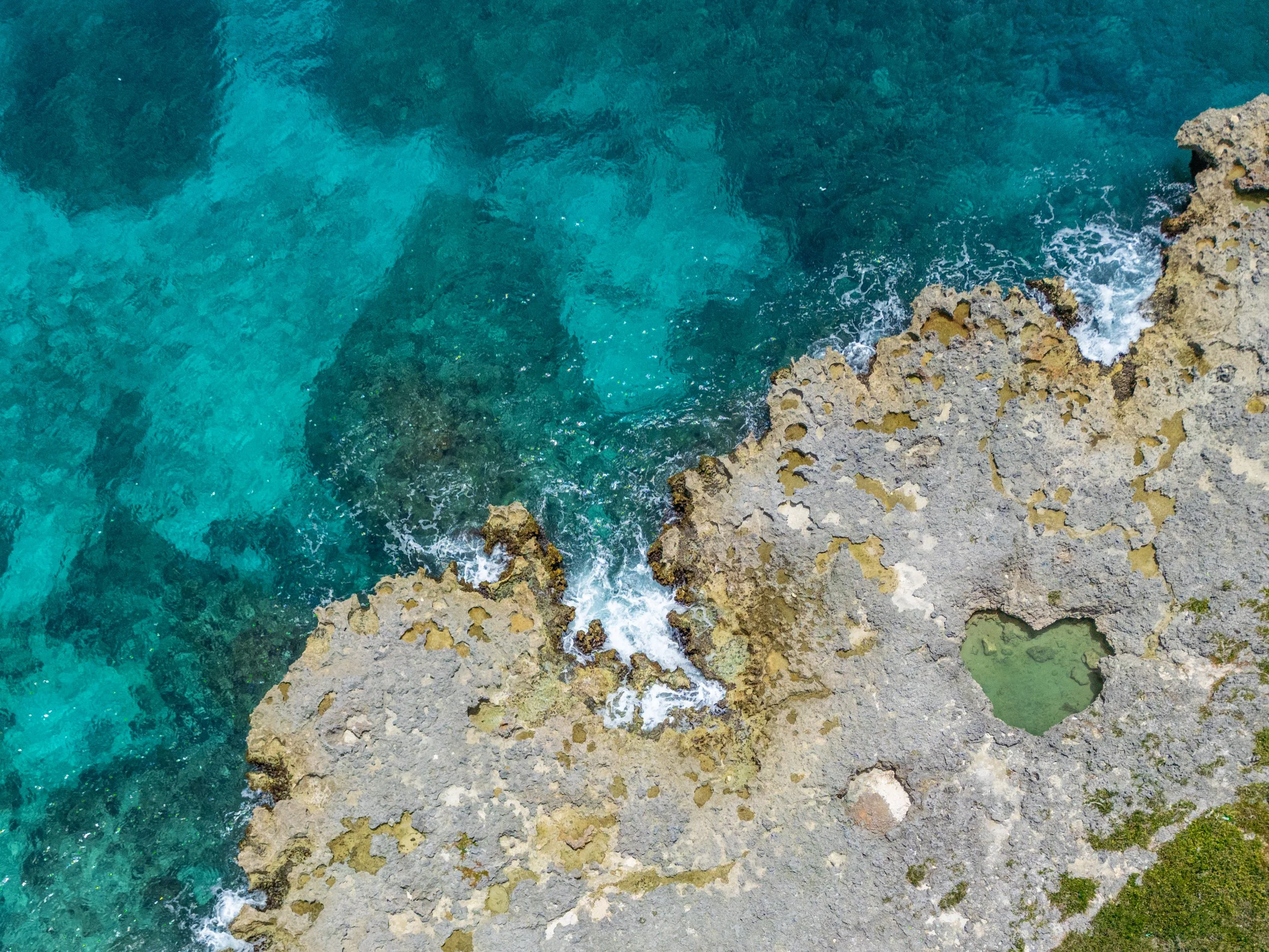 The Heart of the Shore