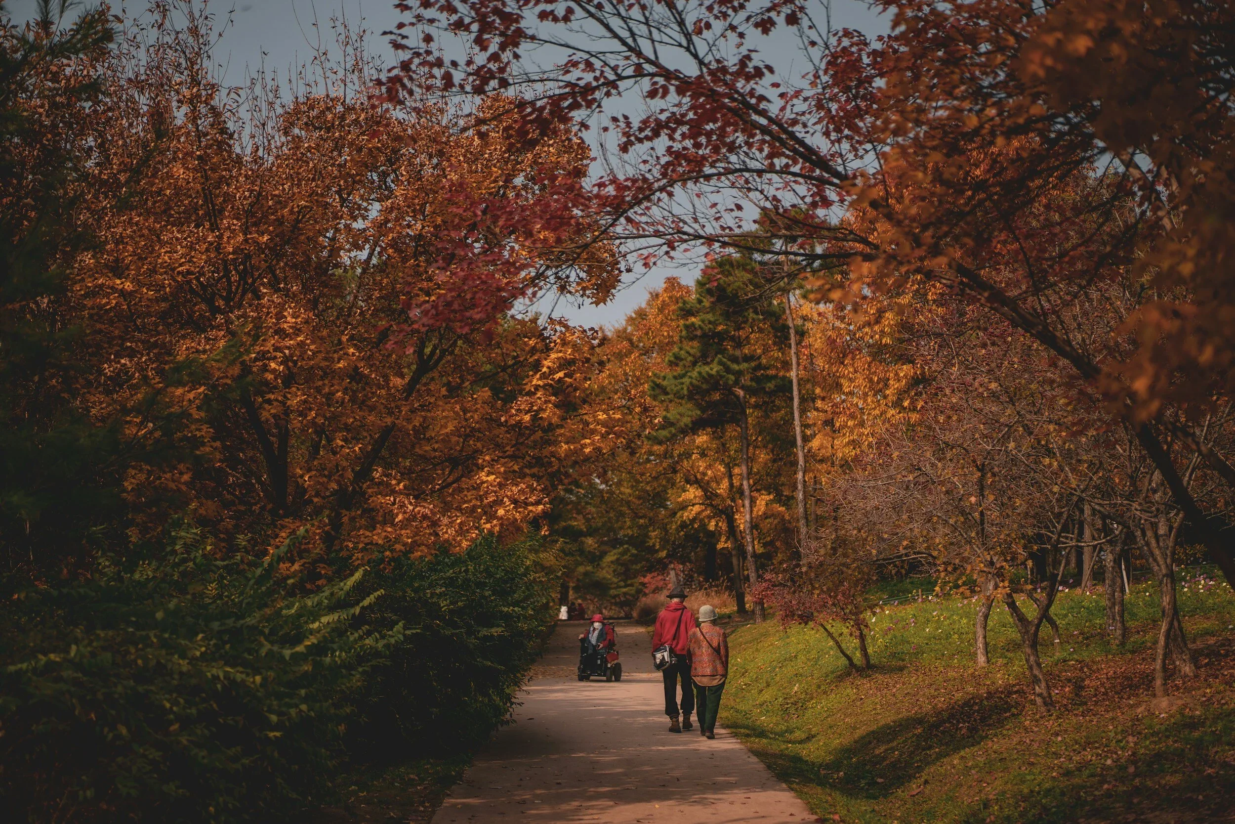 The Secret to Retiring Early (and It's Smaller Than You Think!)
