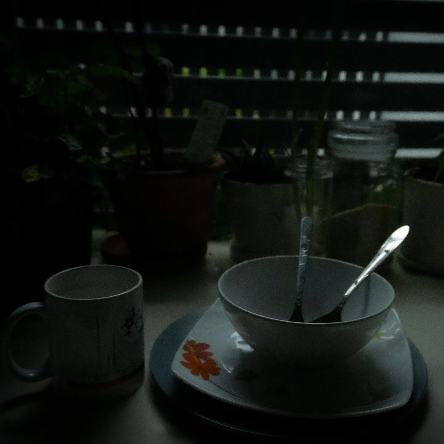 Dirty dishes

#photography #softlighting #naturallight #photo #dishes #shade #shadow