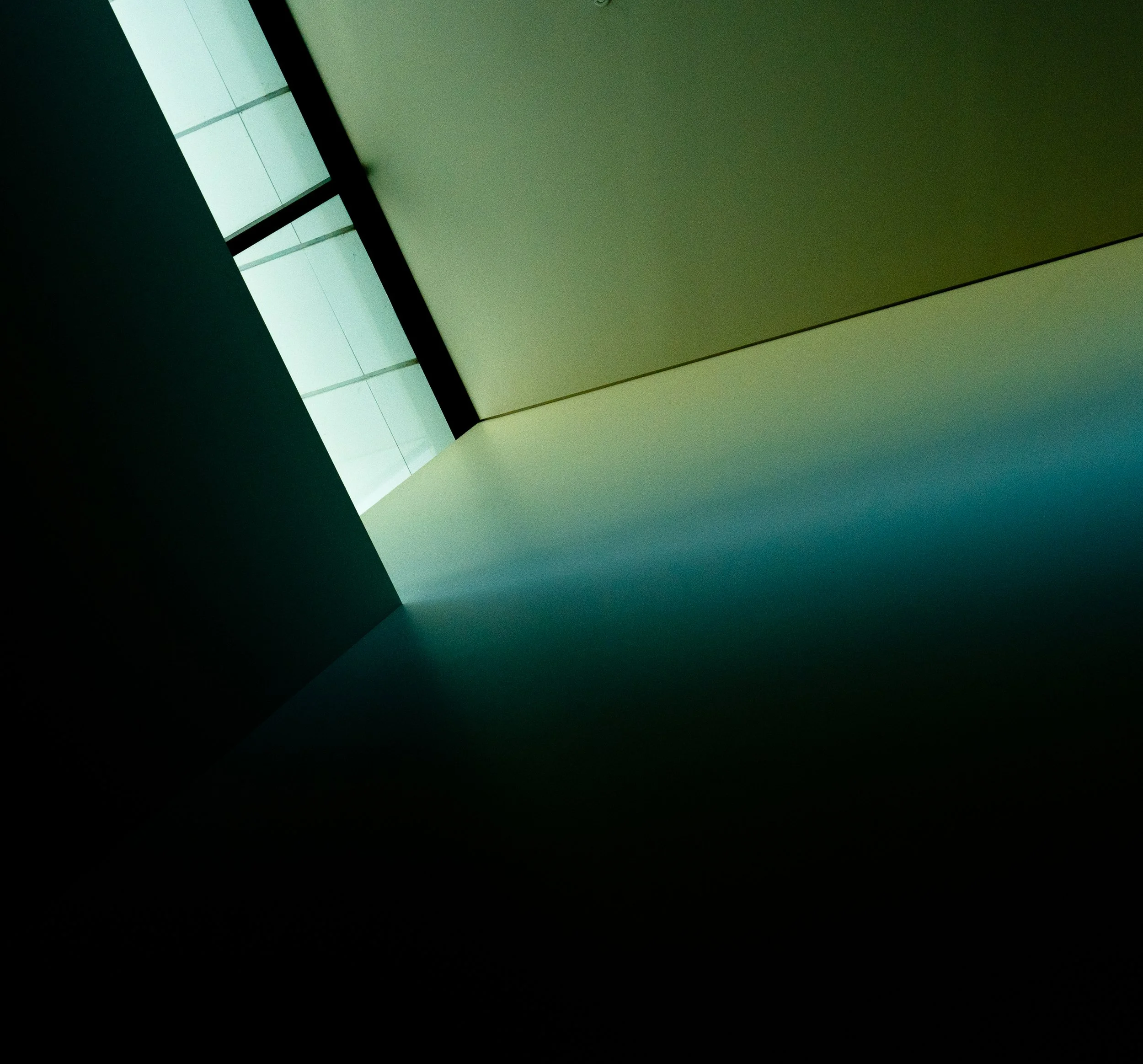 DSC00203 - Copy.jpg