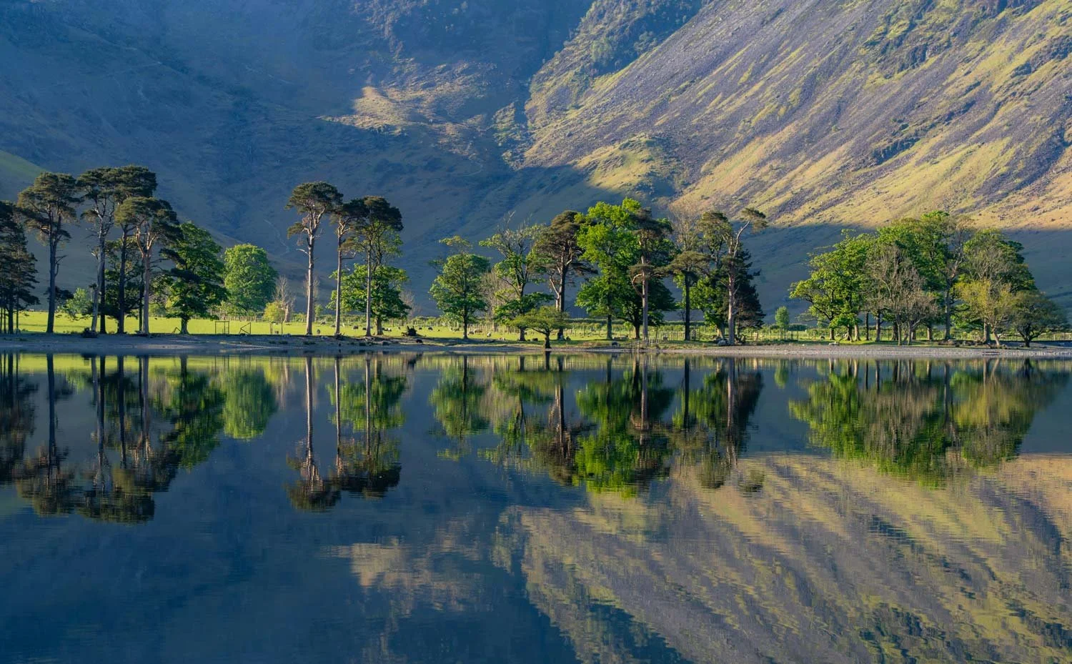 A serene lake reflecting trees and mountains in the background with green grassy areas and a clear sky.
