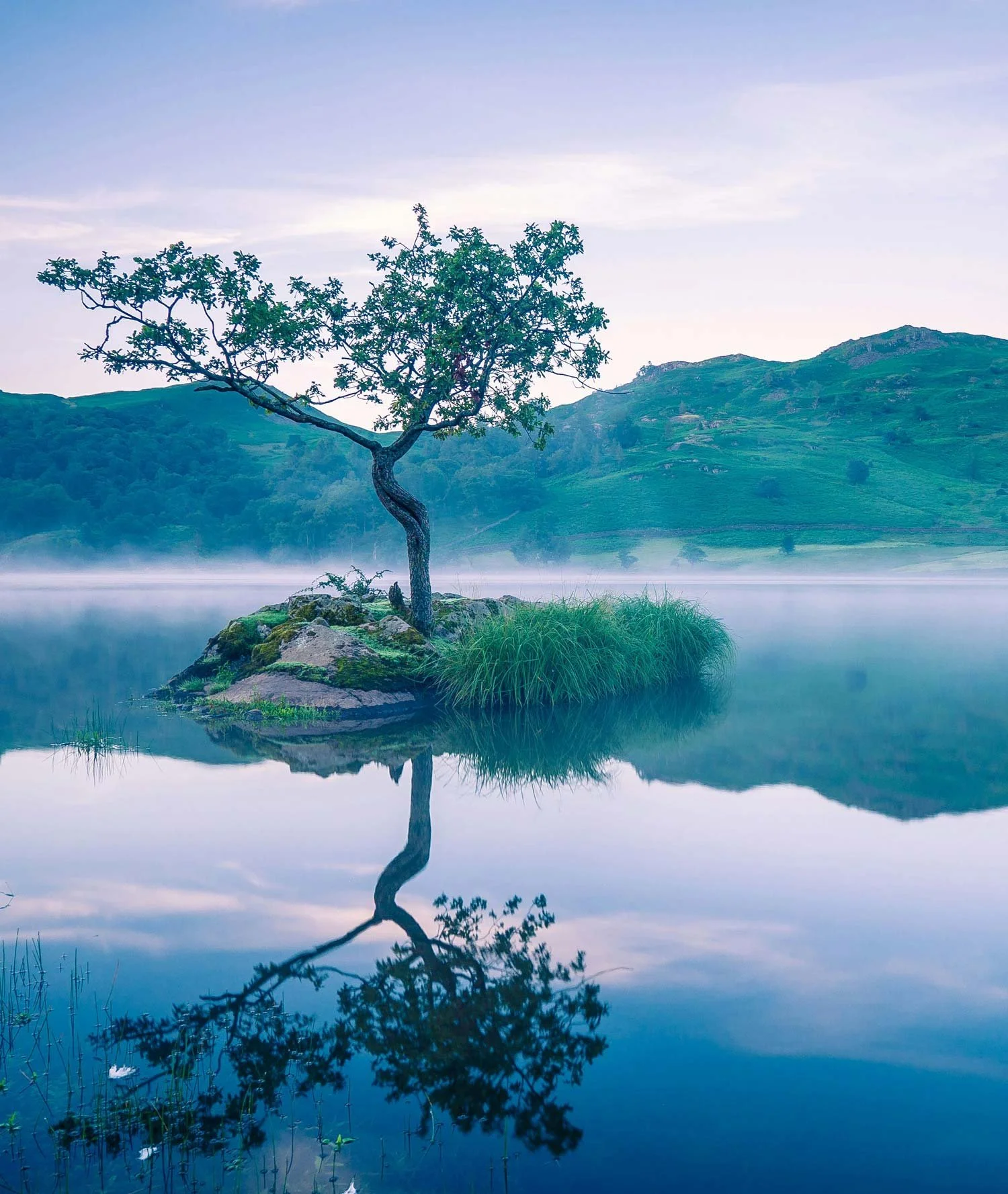A solitary tree growing on a small island or rock in the middle of a calm lake, with its reflection visible in the water. Green hills and mountains are seen in the background, under a clear sky.