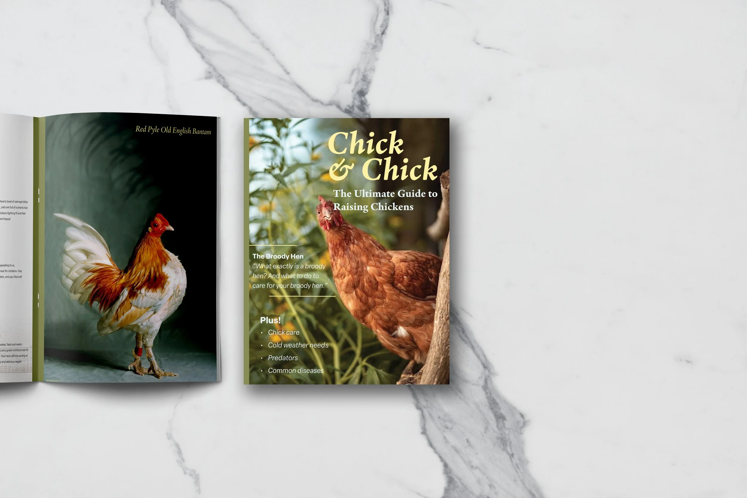 Chick&Chick Magazine
