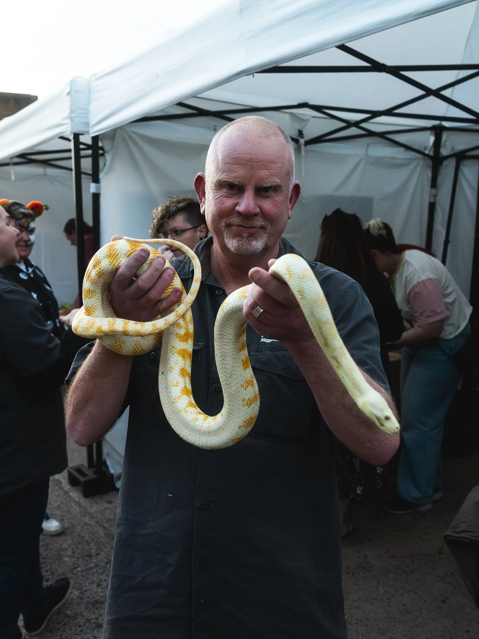 A man holding a yellow and white snake at an outdoor event with tents and people in the background.